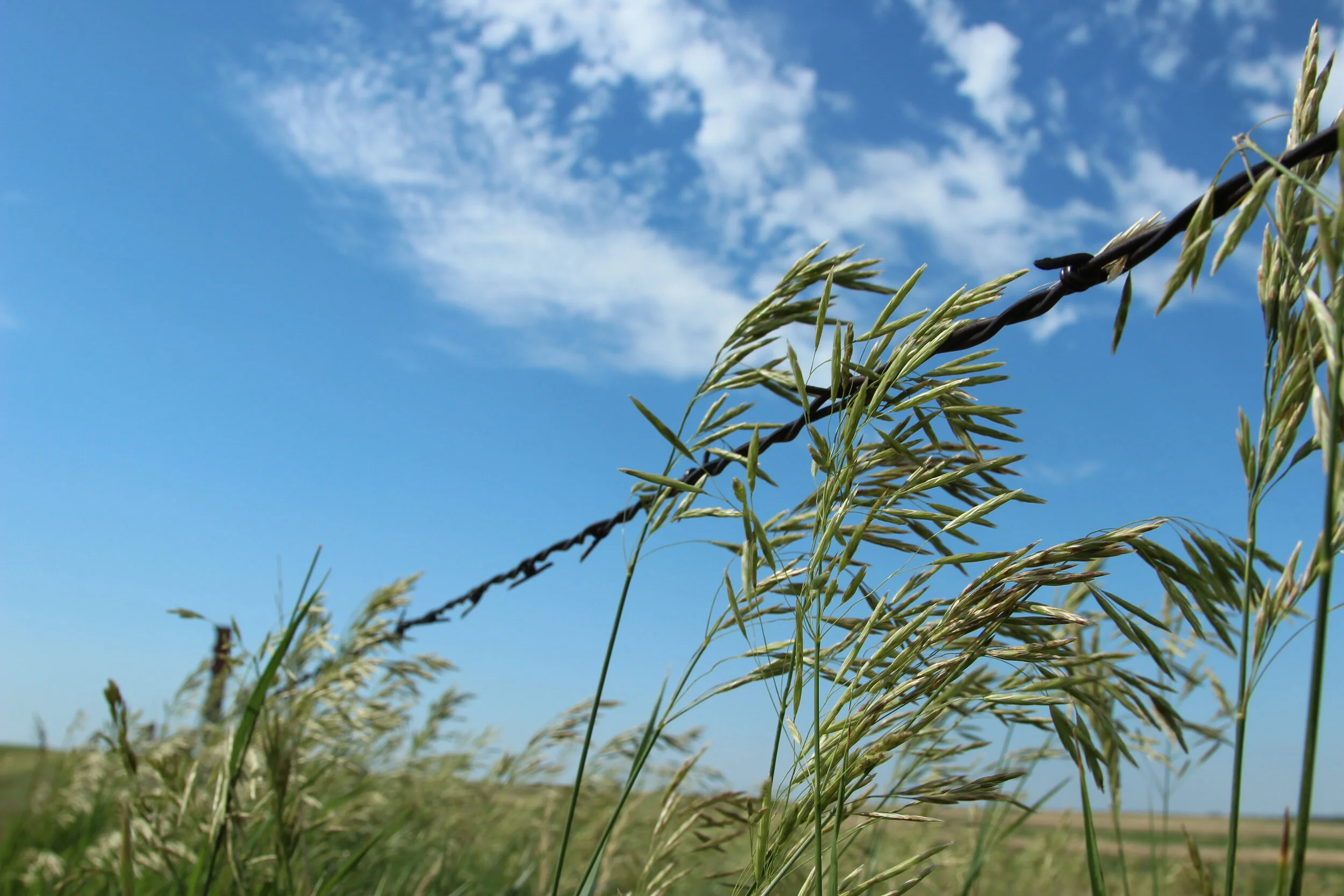 Practices to Build a Future