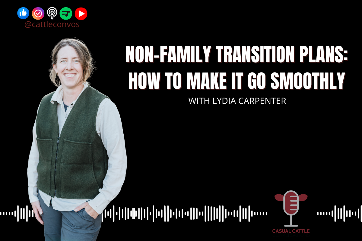 Non-family Transition Plans: How to Make it go Smoothly