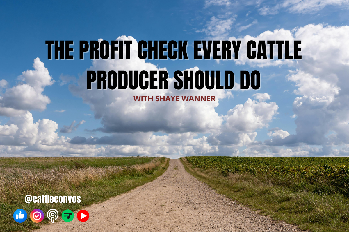 The Profit Check Every Cattle Producer Should Do&nbsp;