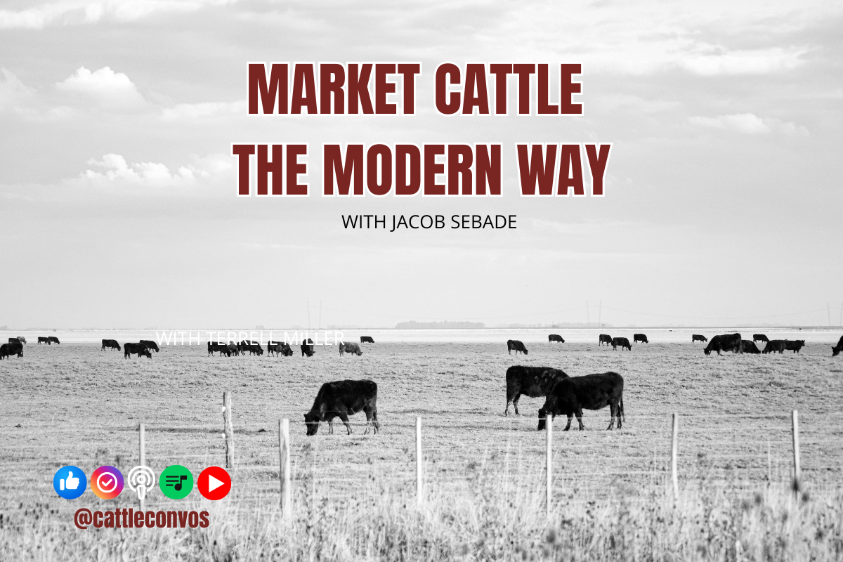 Market Cattle the Modern Way with AtTheYards&nbsp;