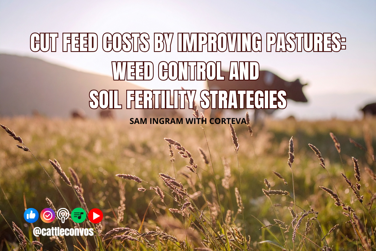 Cut Feed Costs by Improving Pastures: Weed Control and Soil Fertility Strategies for Ranchers&nbsp;