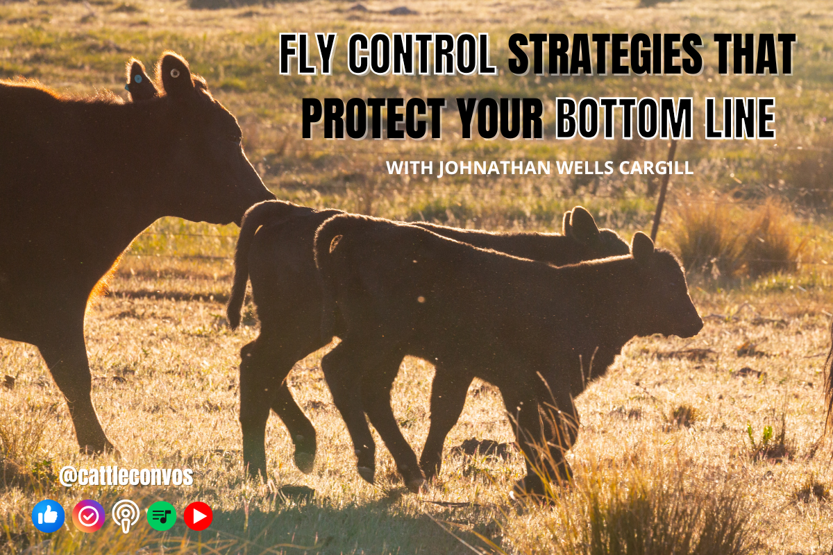 Losing a Dollar a Day? The True Cost of Horn Flies on Cattle Performance&nbsp;