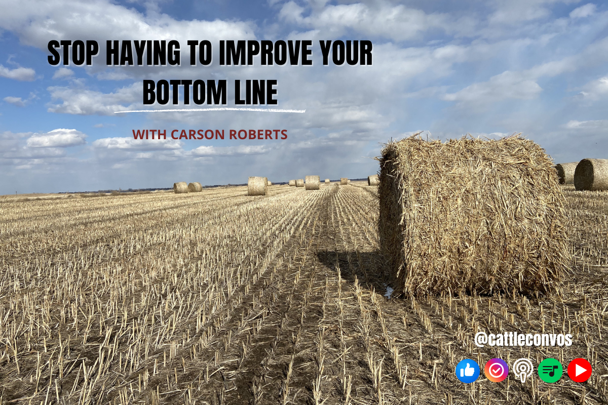 Stop Haying to Improve Your Bottom Line