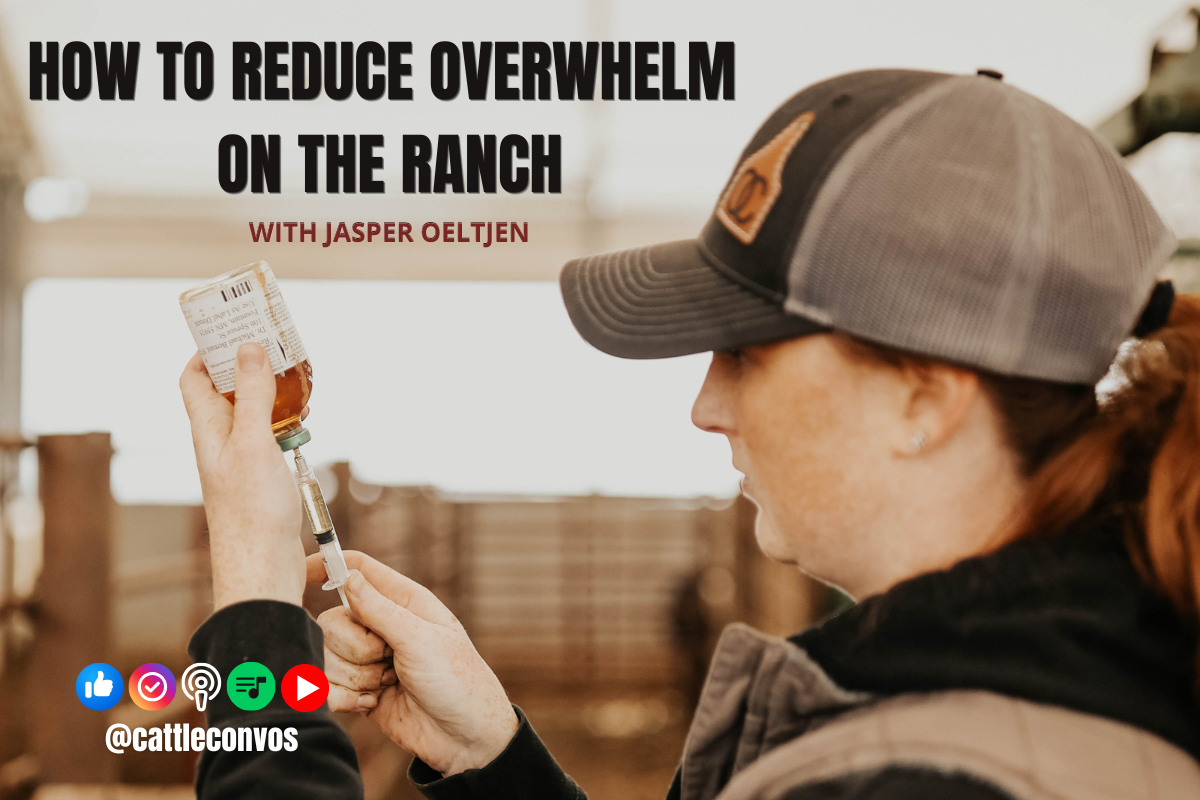 How to Reduce Overwhelm on the Ranch&nbsp;