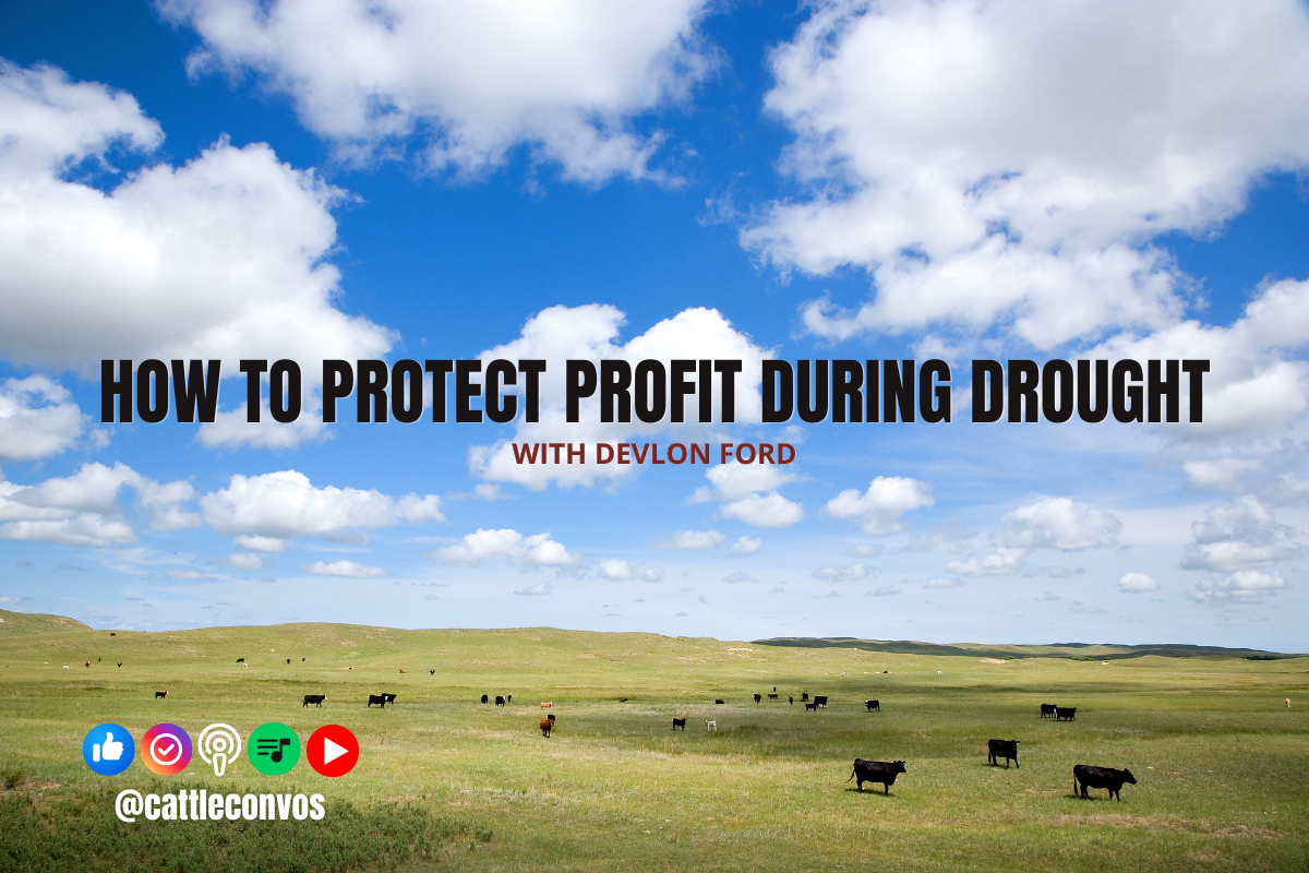 How to Protect Profit During Drought&nbsp;