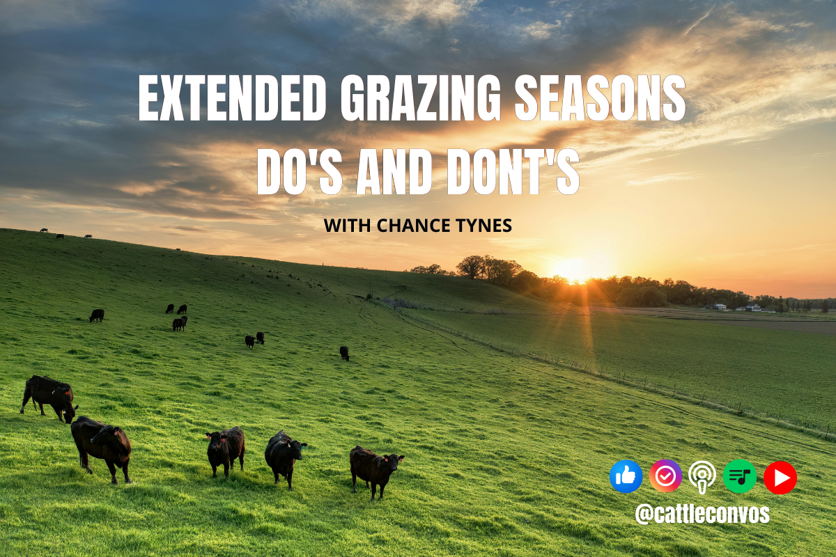 How to Extend Grazing Seasons to Maximize Ranch Profits