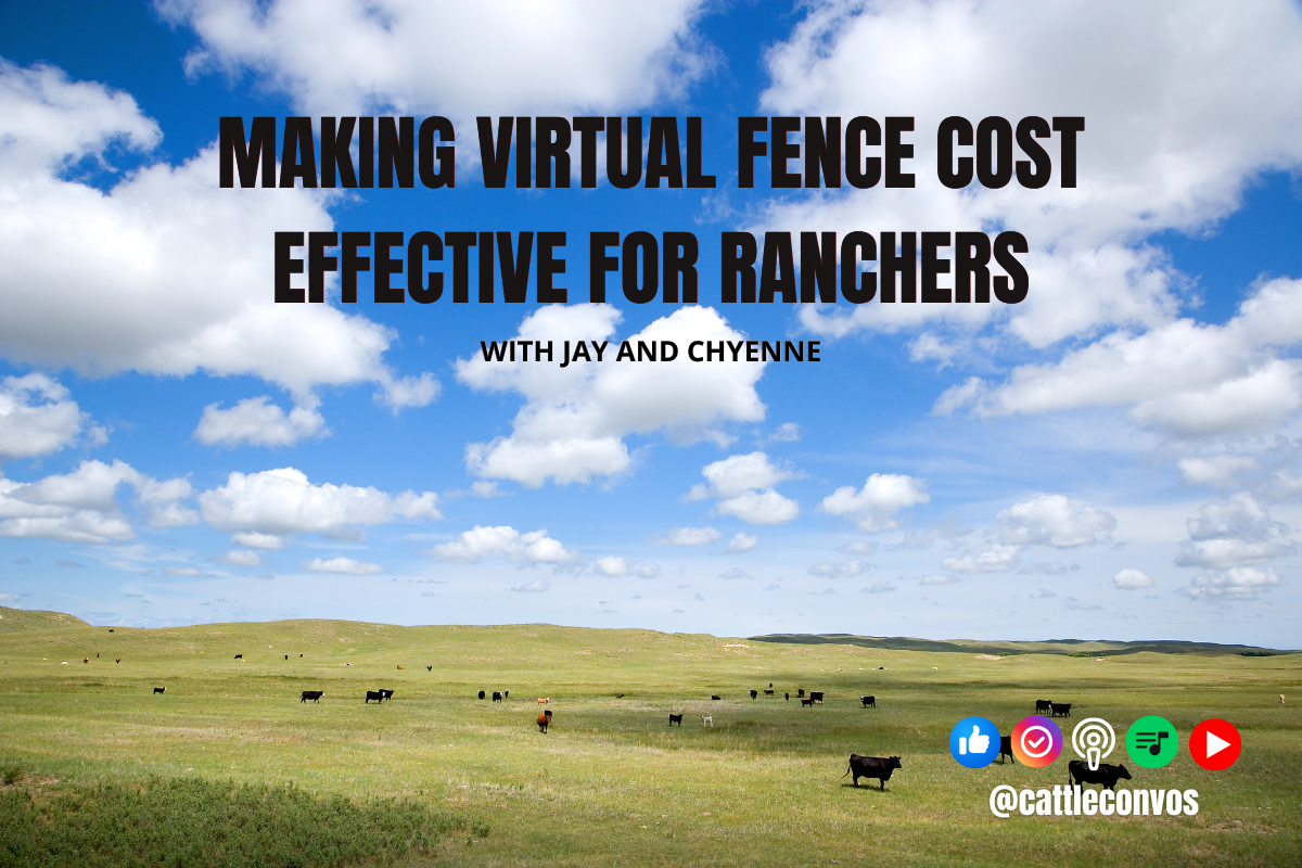 Making Virtual Fence Cost Effective for Ranchers