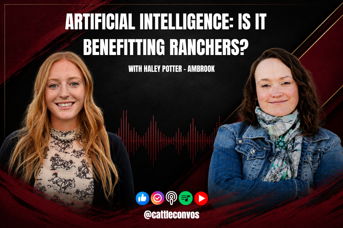 Artificial Intelligence: Is It Benefitting Ranchers?