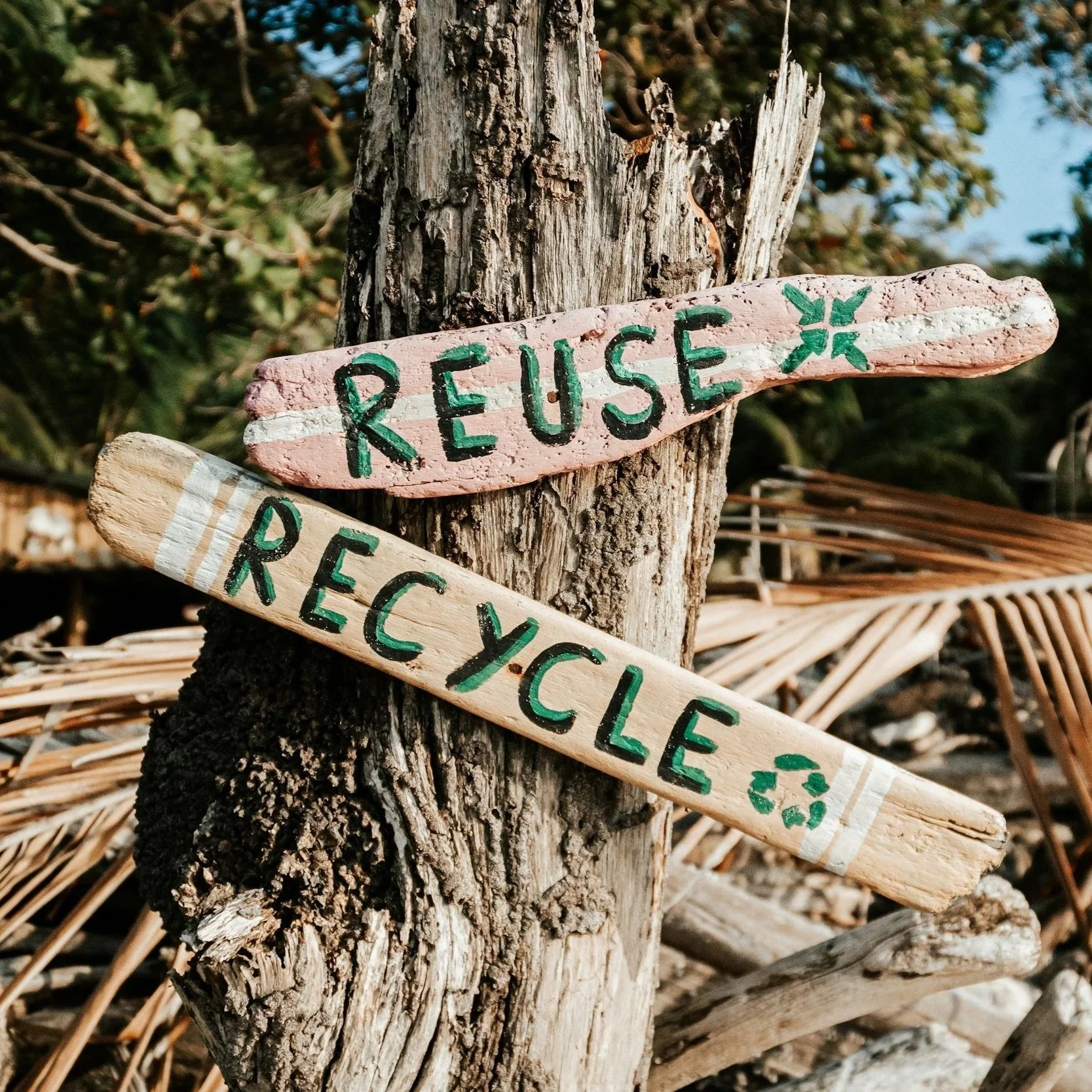 Sustainable Fashion Show at the Meridian Mall and 50% off Clearance at the Store!