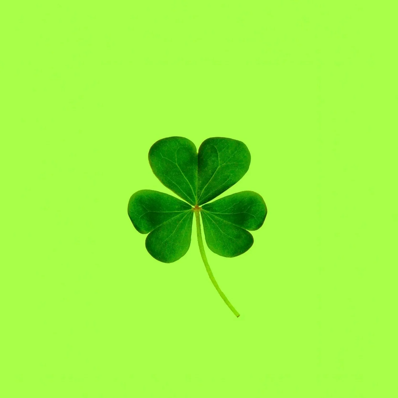 St. Patrick's Day Sale!