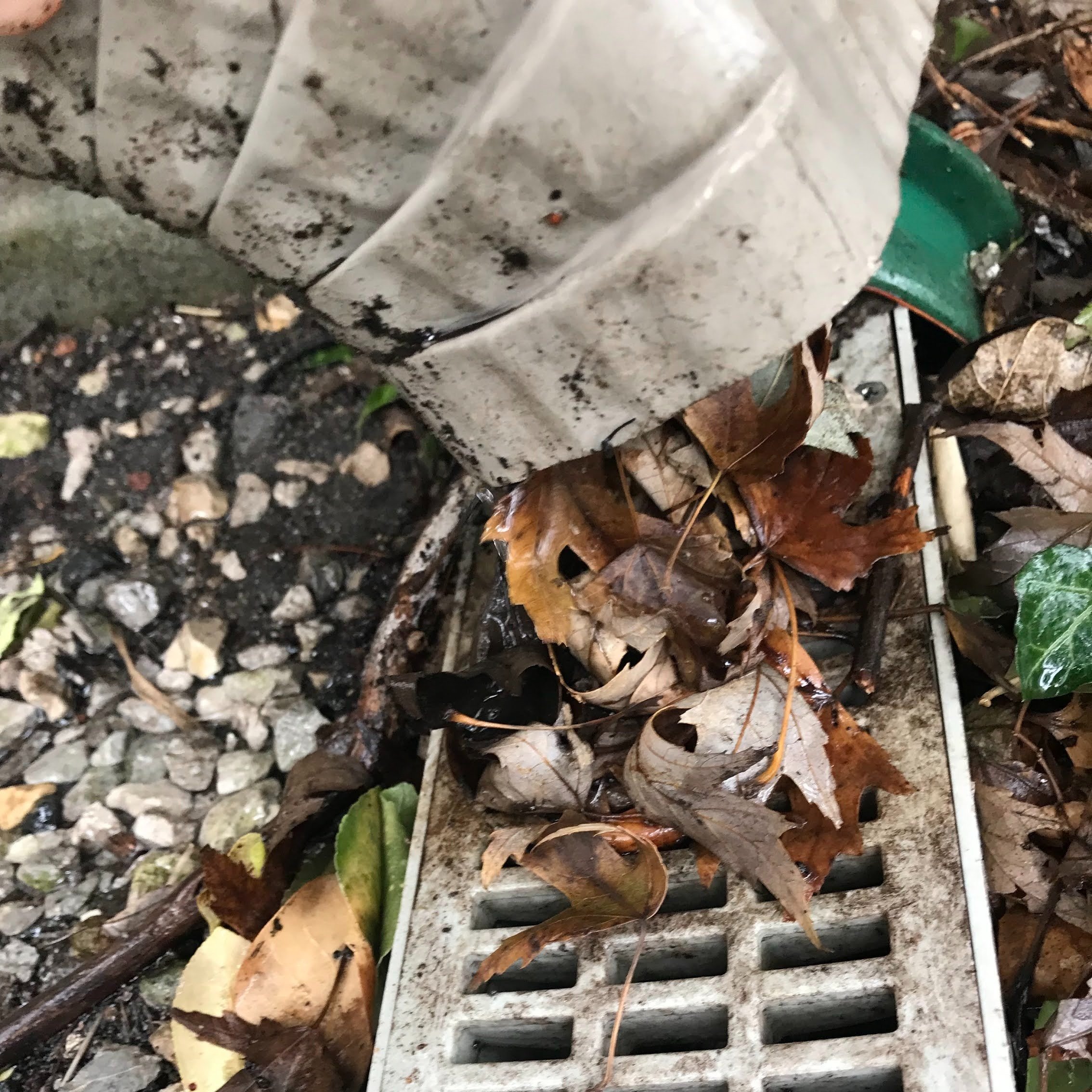 Closer inspection reveals leaves trapped within the downspout.
