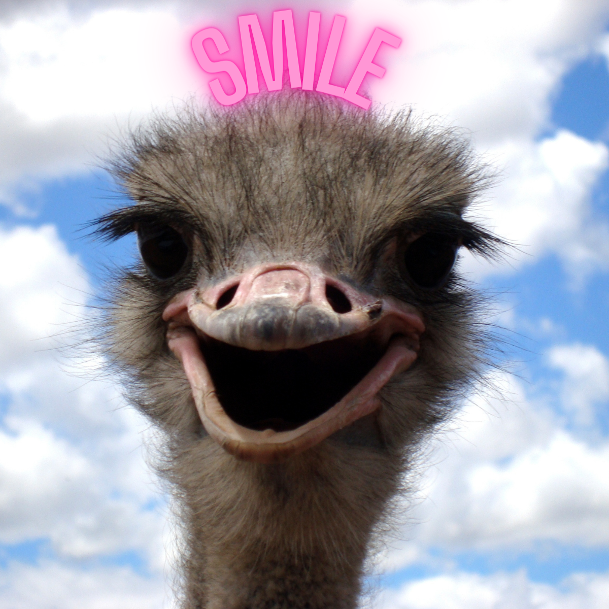 Joyful Team Building: The Inward Smile | In8 Create