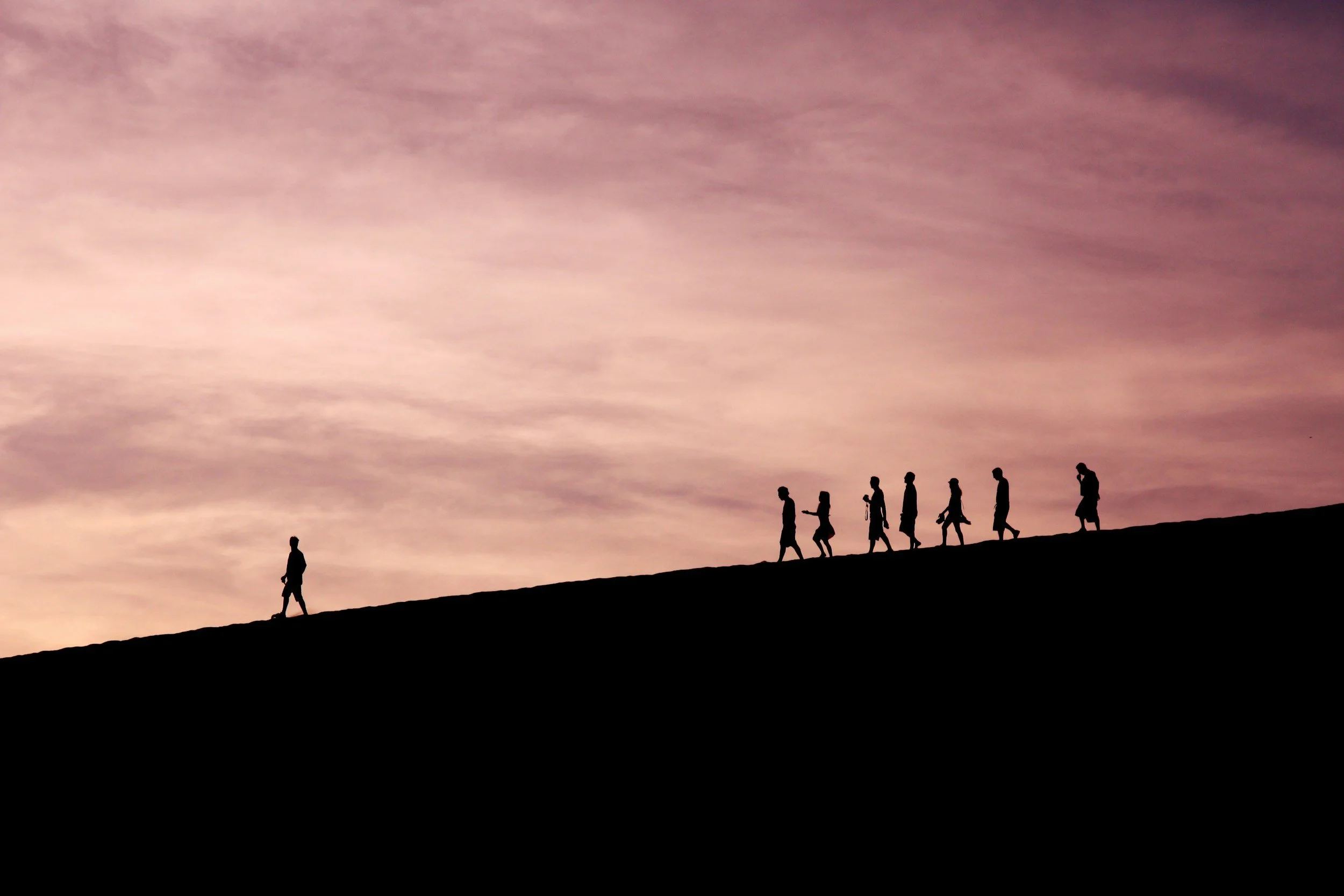 Transform Your Organization Through Team-Powered Leadership