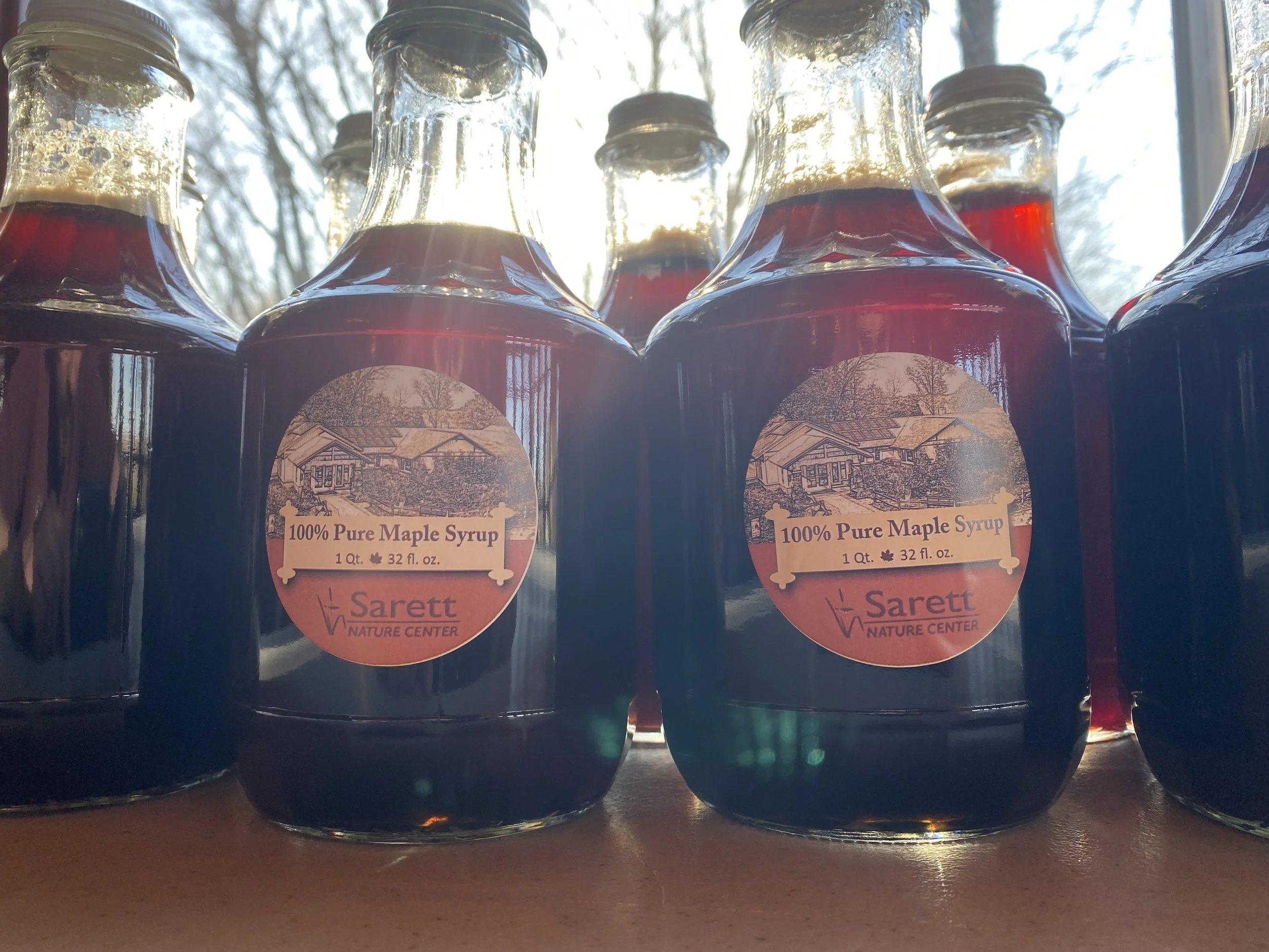 Saps Rising! Exploring Maple Sugaring 