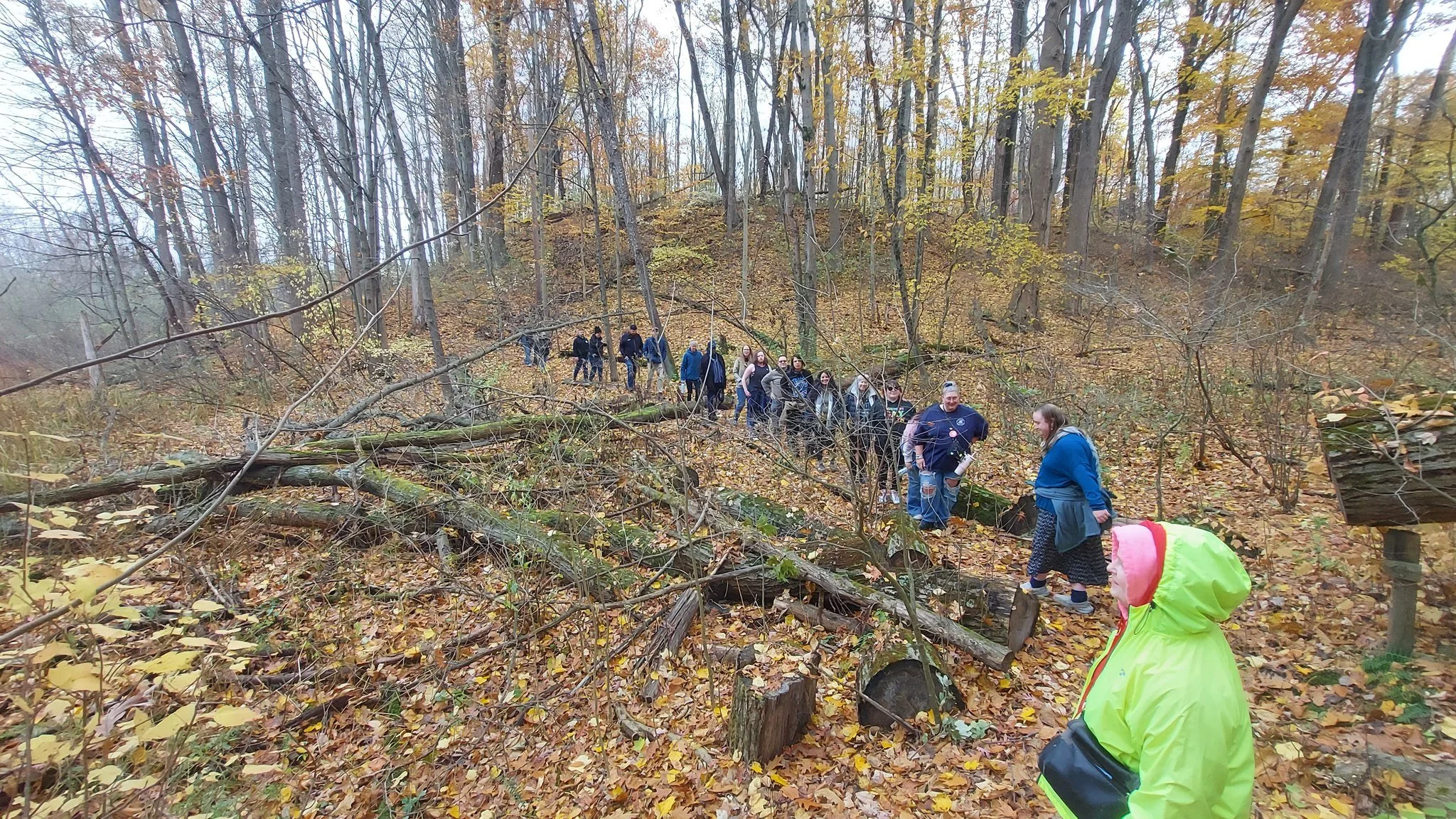 Lavender Adventurers: Social Hike
