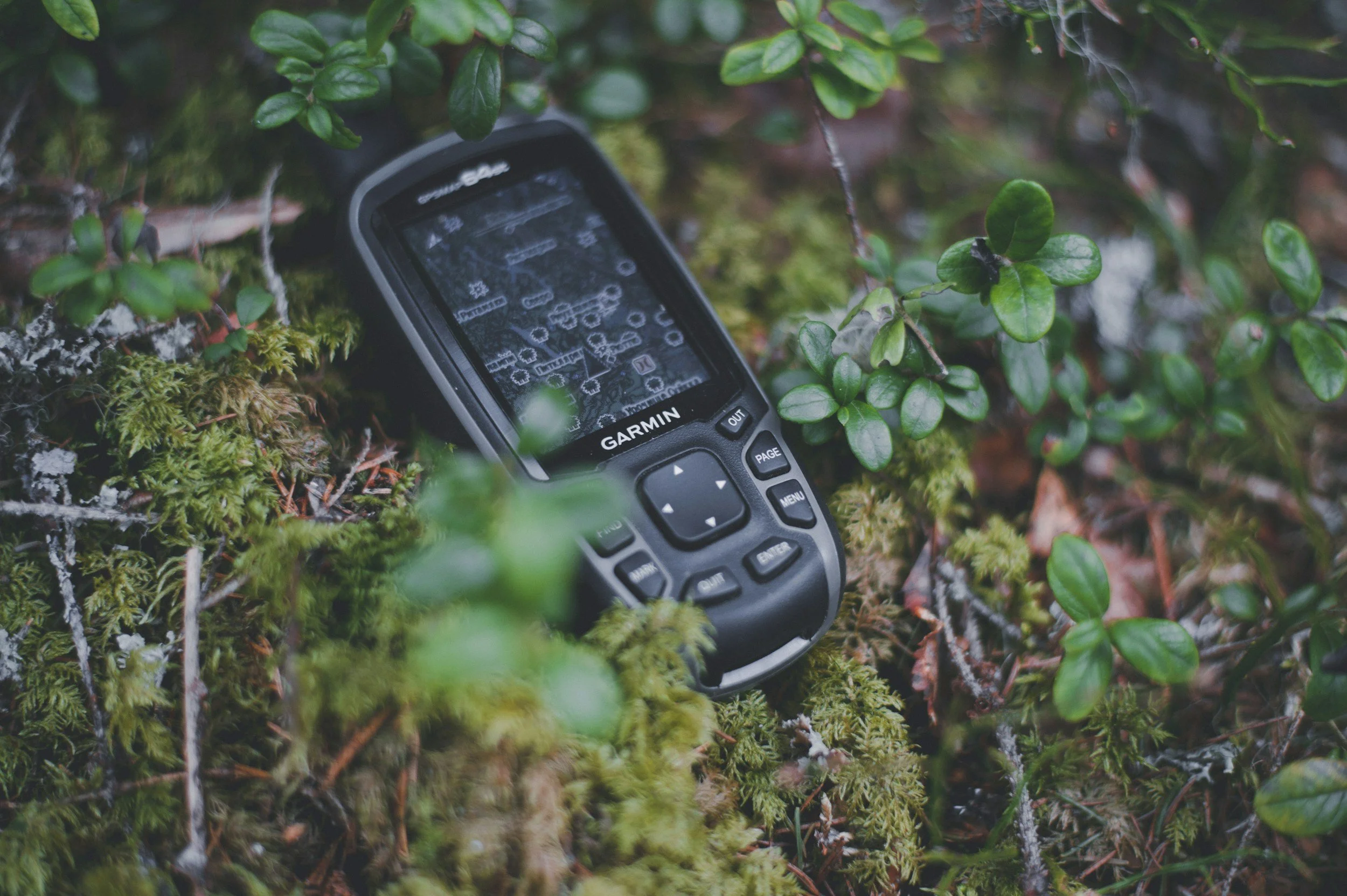 Geocaching Berrien County
