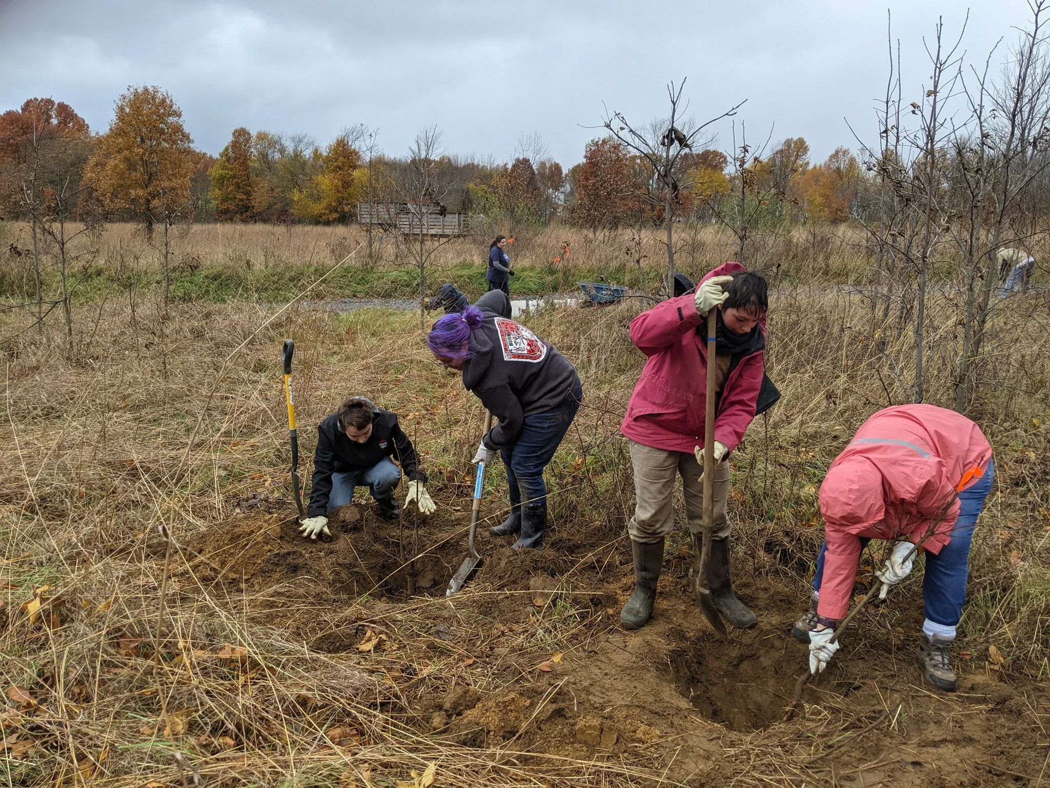 Weekly Stewardship Volunteer Meet-up