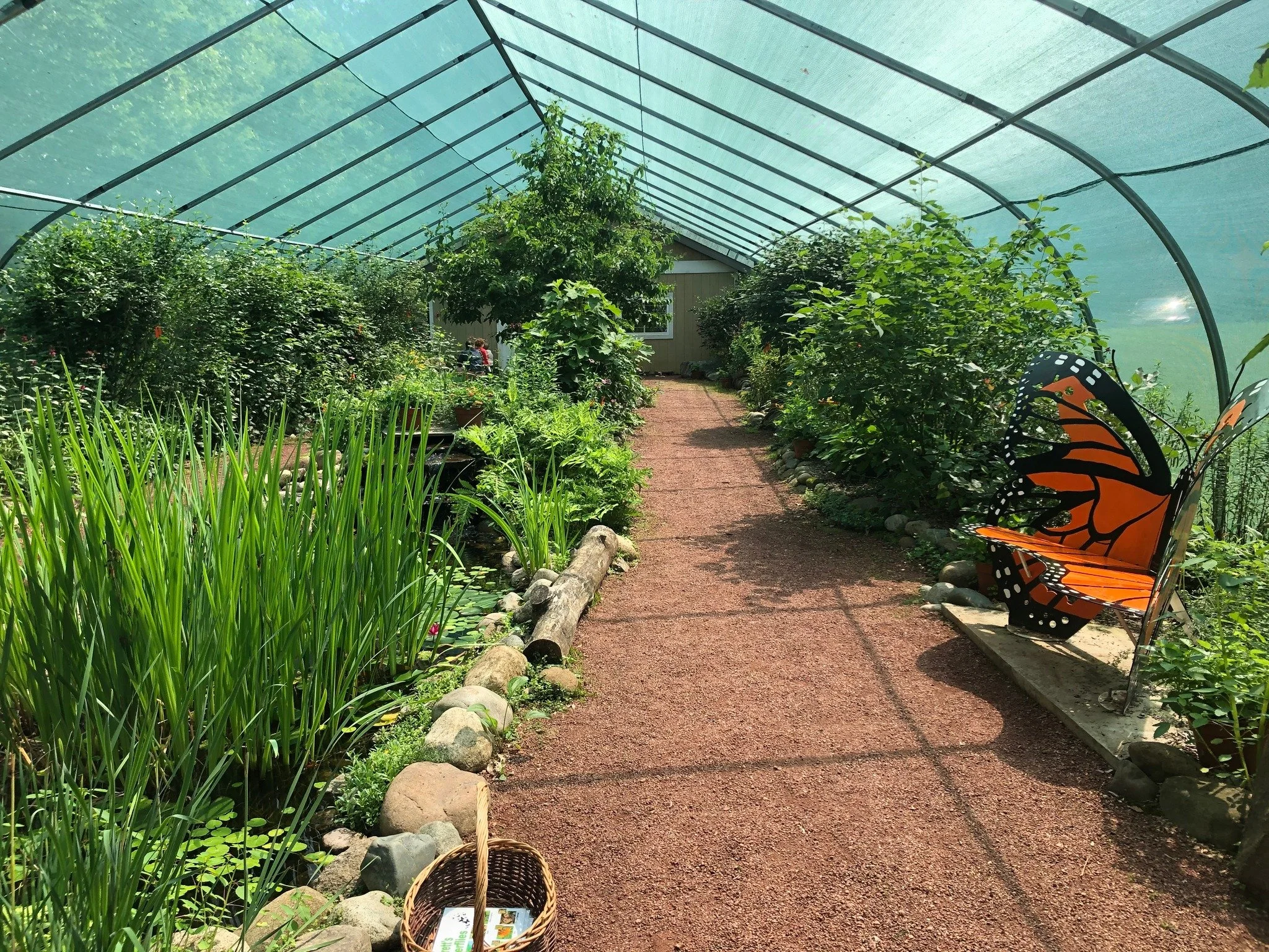 butterfly house inside.jpg