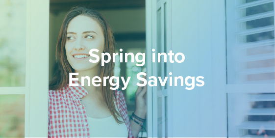 Spring Into Energy Savings