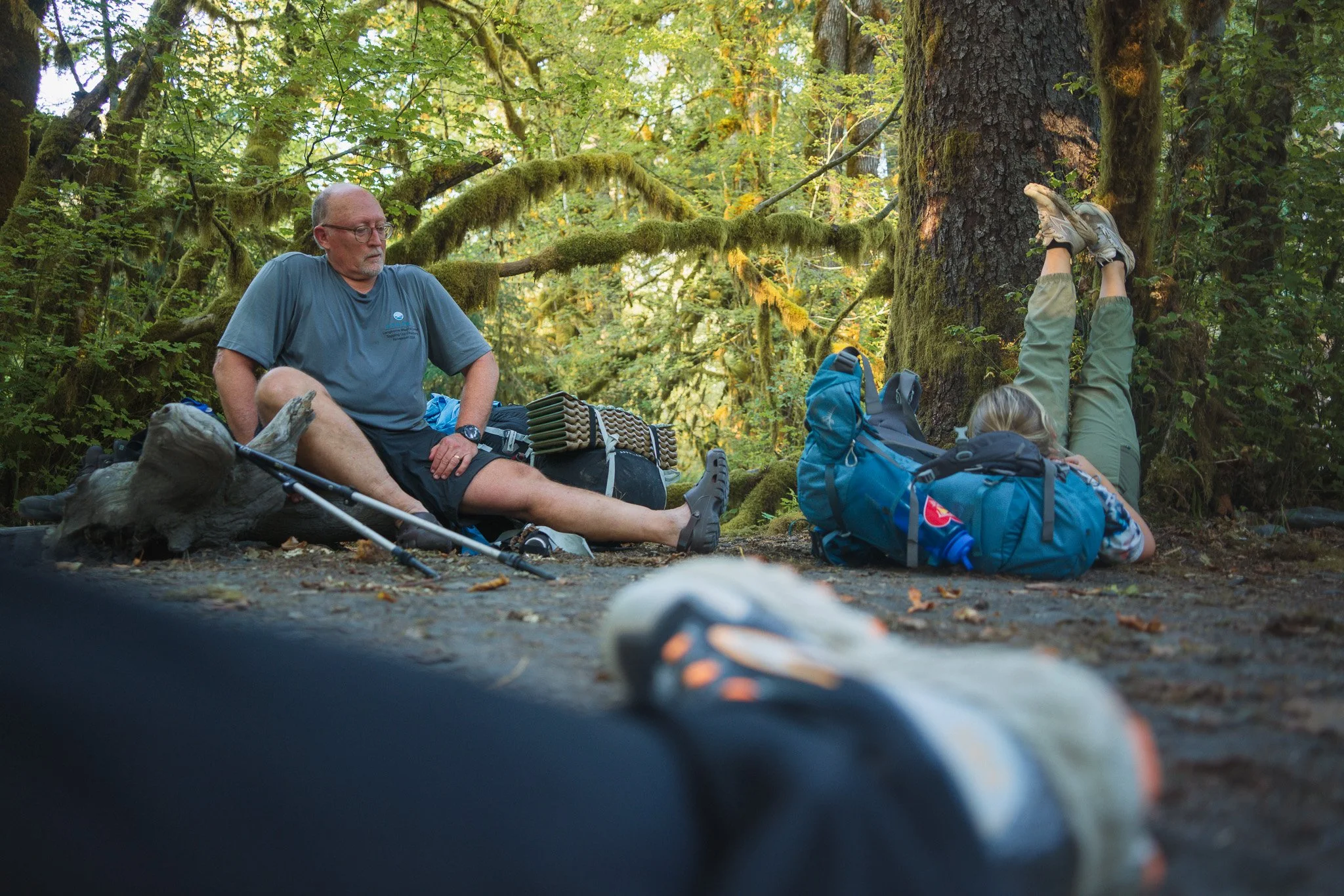 An Honest Experience Backpacking The Hoh River Trail to Blue Glacier in Olympic National Park