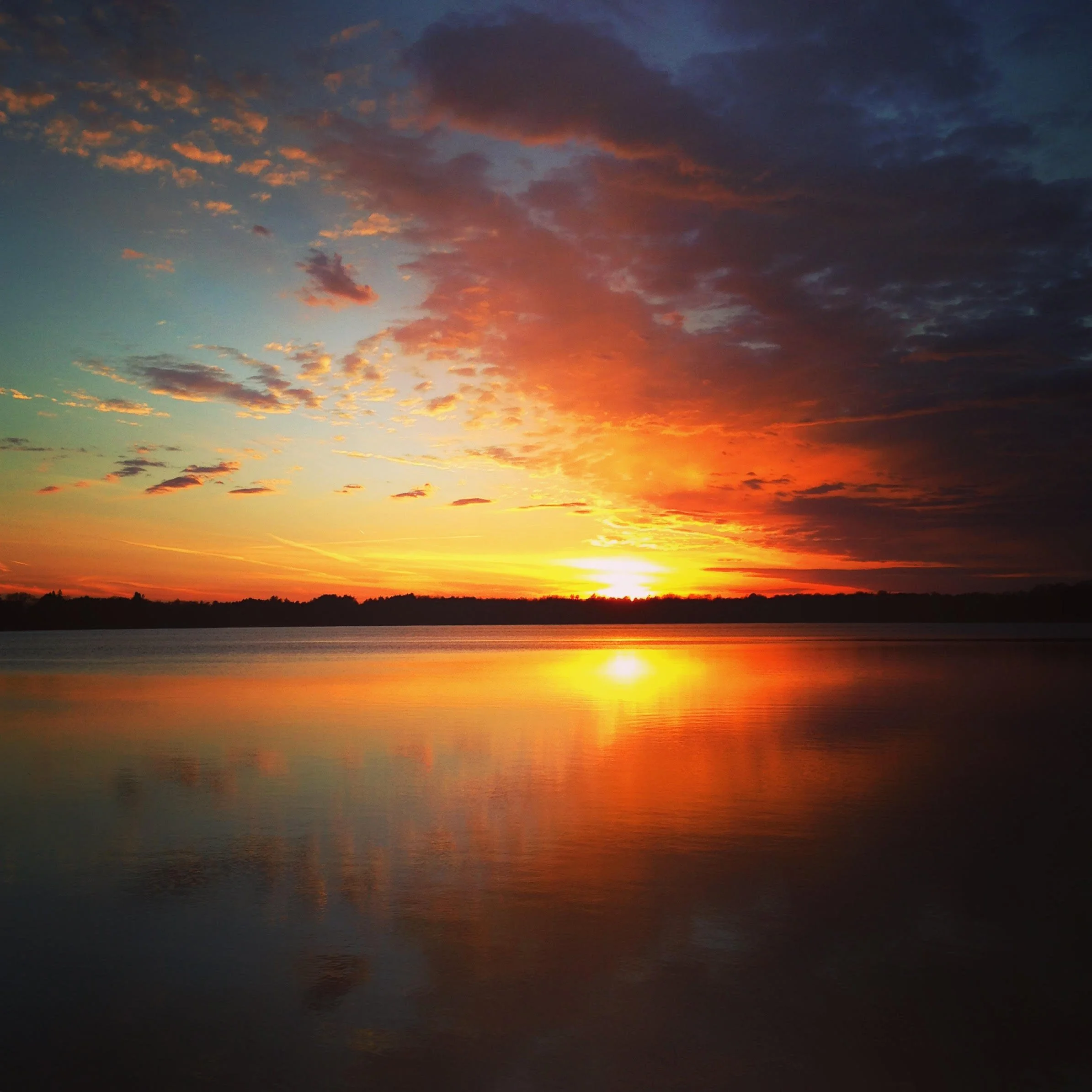 Blog Archive | Mongata Healing Center