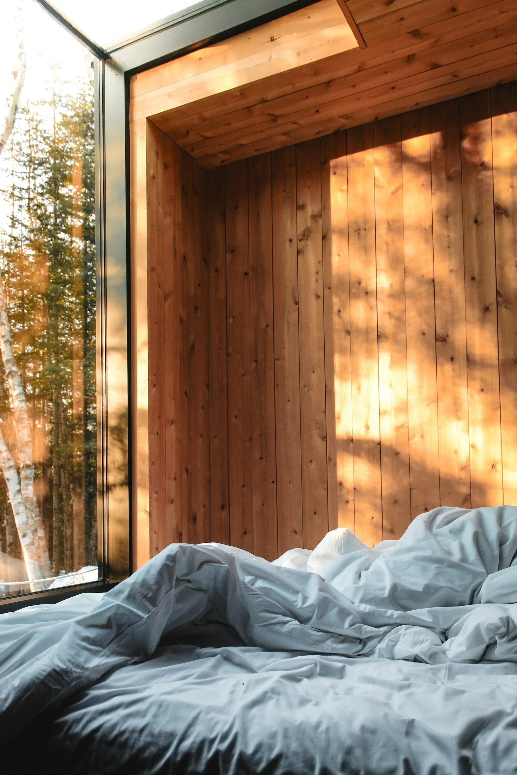 A comfortable bed covered with voluptuous comforter in a wood paneled room with large window that lets in dappled sunlight.