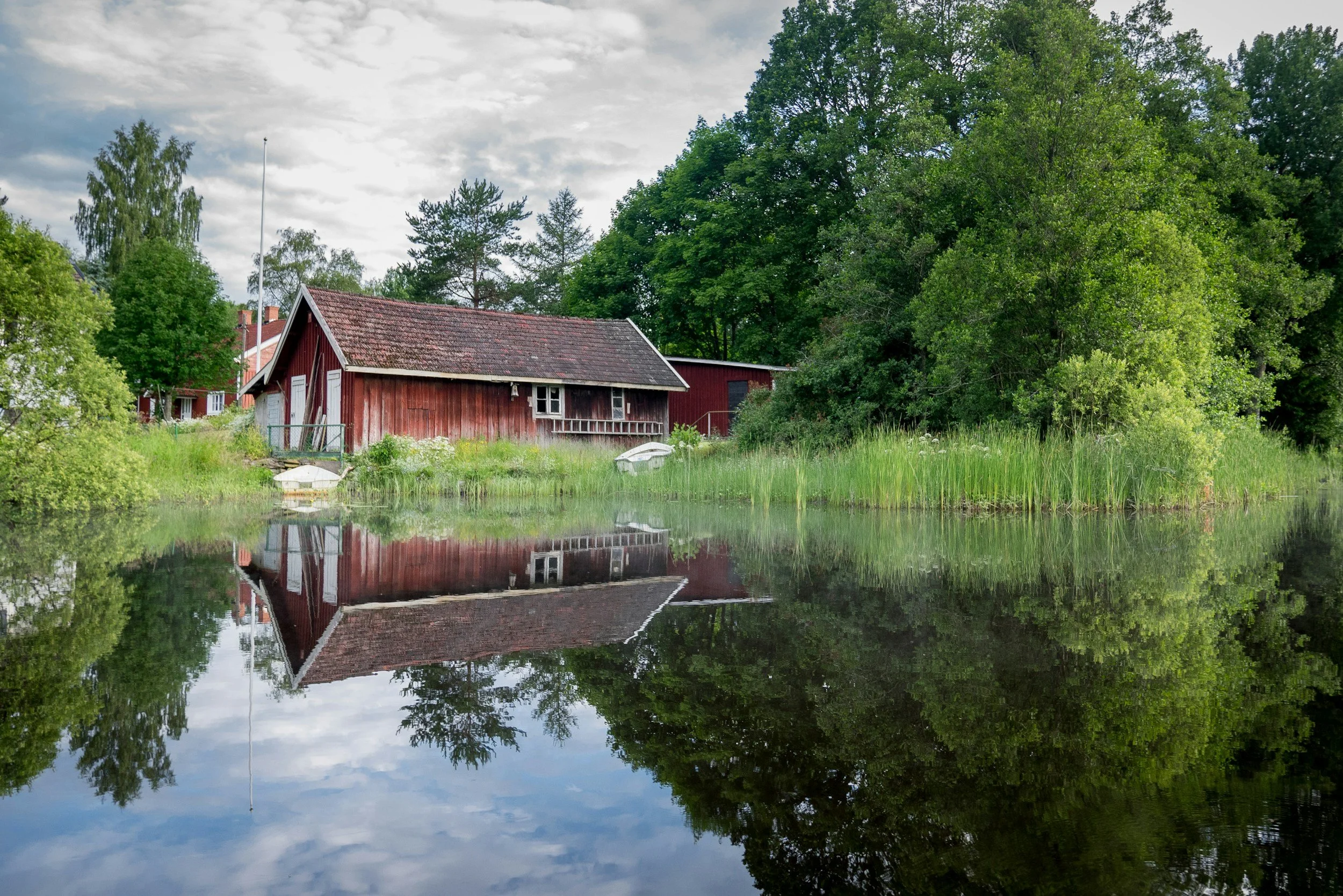 The Sounds of Gotland: How Nature Teaches Us to Listen