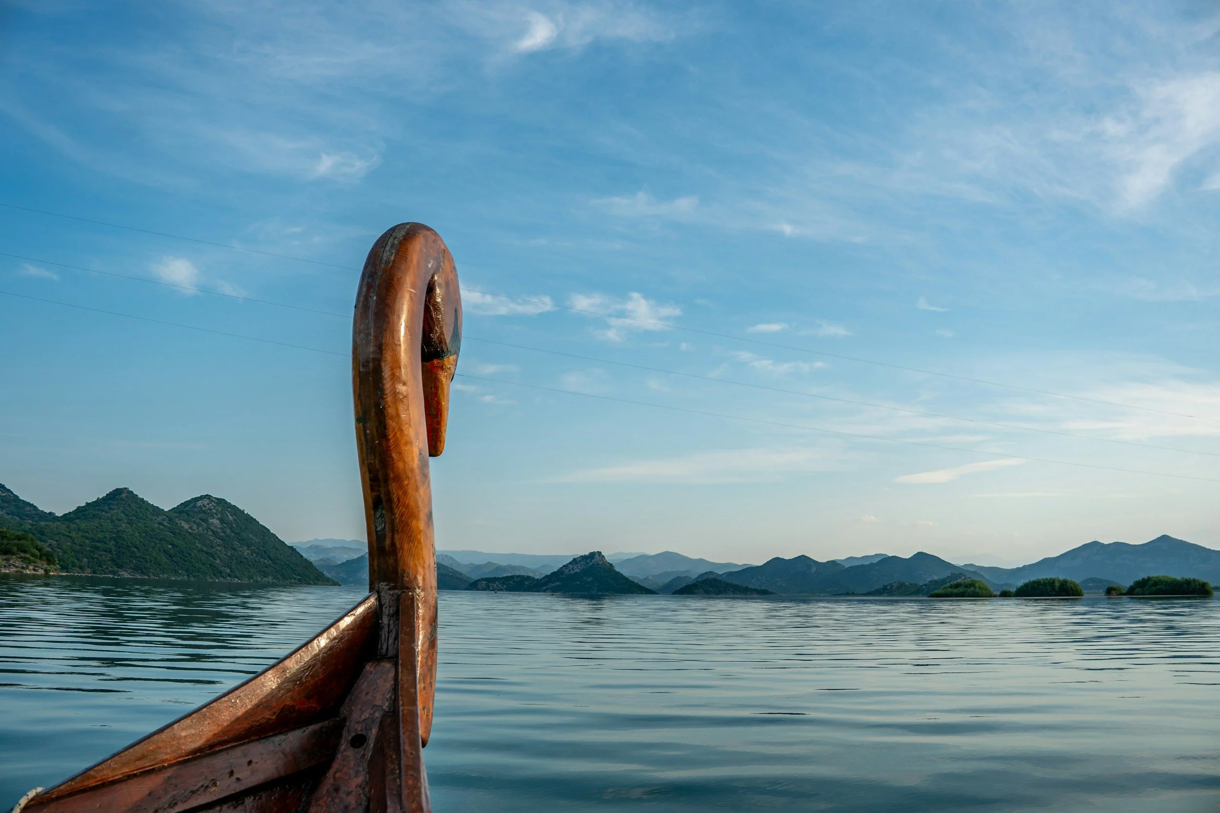 Neck of a swan on the end of a viking boat.