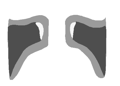 Movement of vocal muscles