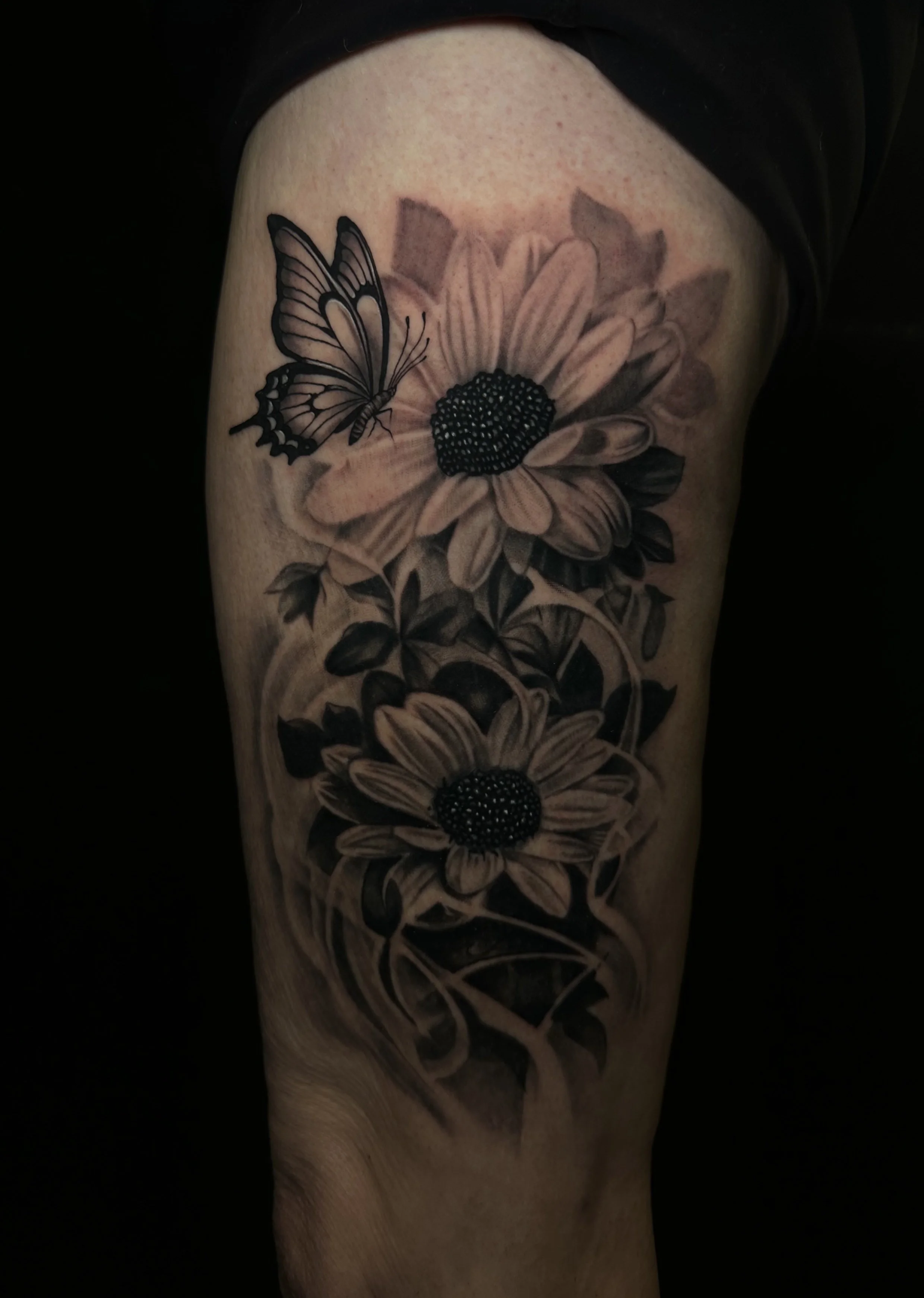 Untitled_Artwork (1).jpeg