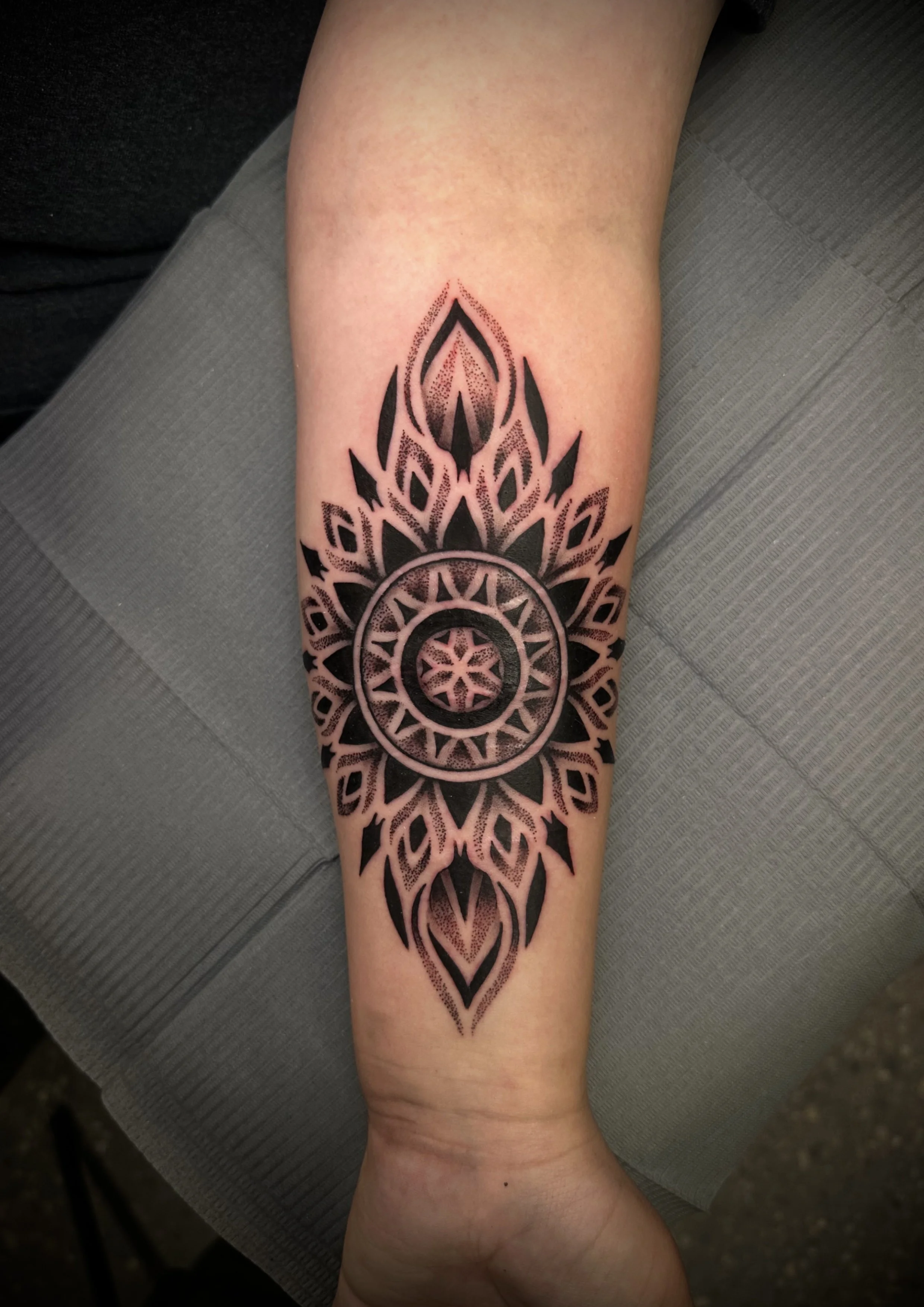 Untitled_Artwork (2).jpeg