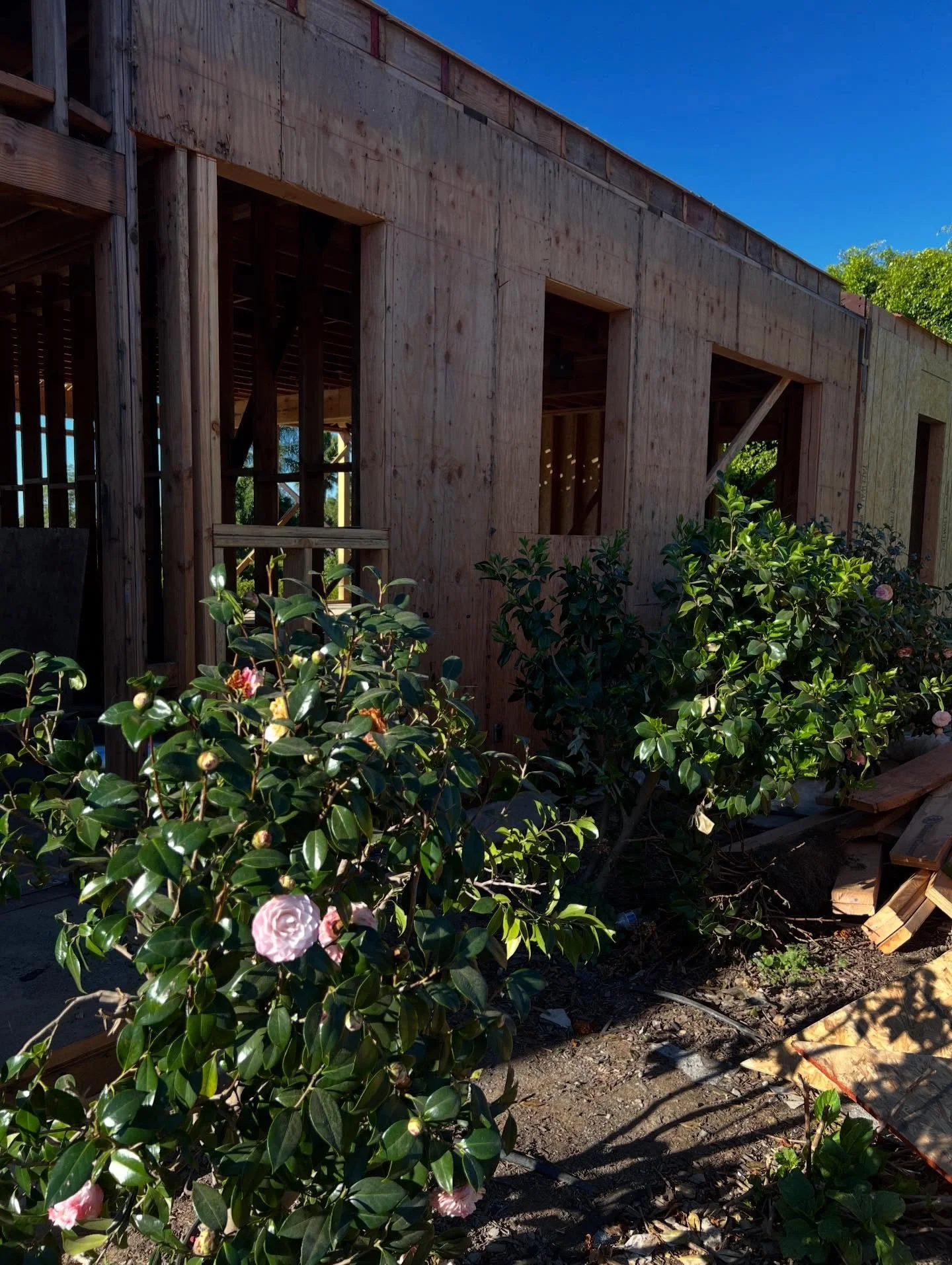 A little Santa Barbara sun and site meeting was just what we needed ☀️ this week! Plus we added a new team member, so we&rsquo;re now the stupendous six (!), and an install we&rsquo;re still not over! 

Installs on installs are happening this spring 