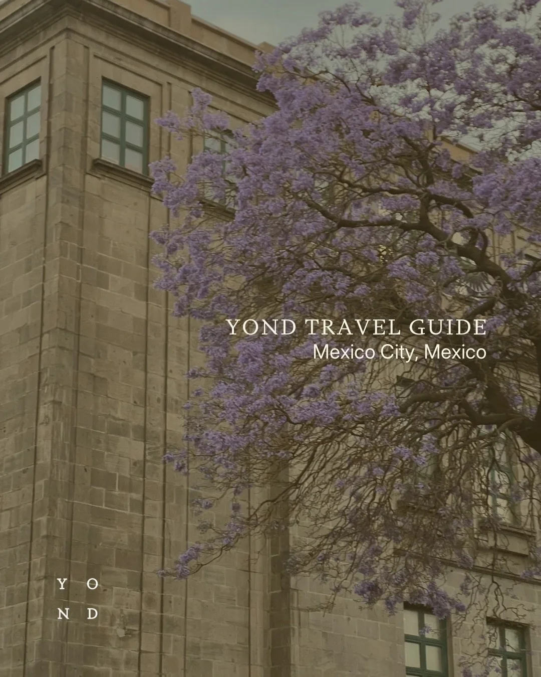 Our Mexico City guide! Save for your next trip 🥭
Have you been? What were some of your must sees + eats?

You can find all of our recommendations in our CDMX highlight as well!

#cdmx #cdmxguide