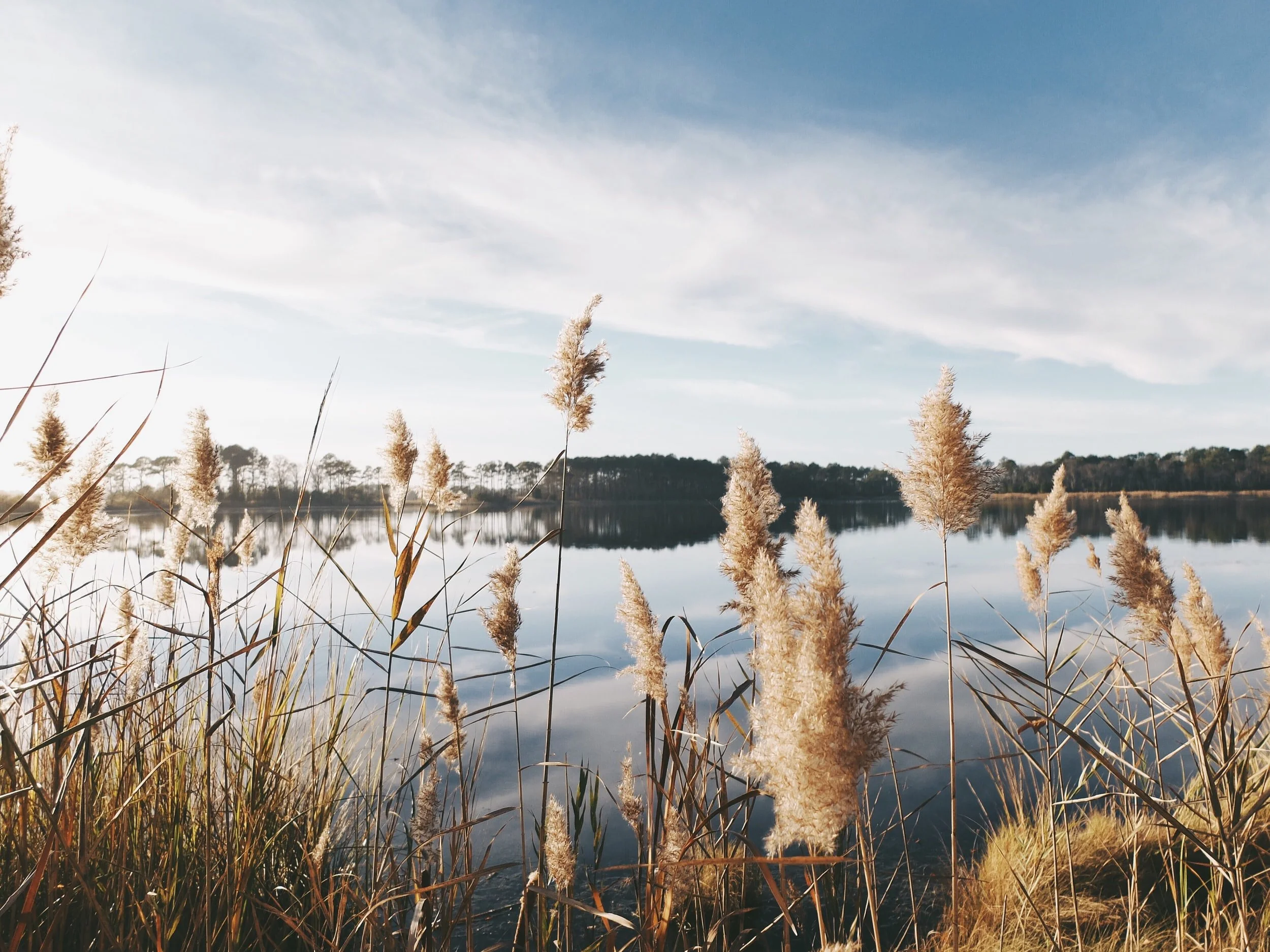 unsplash-image-phx4UXMQRTg.jpg