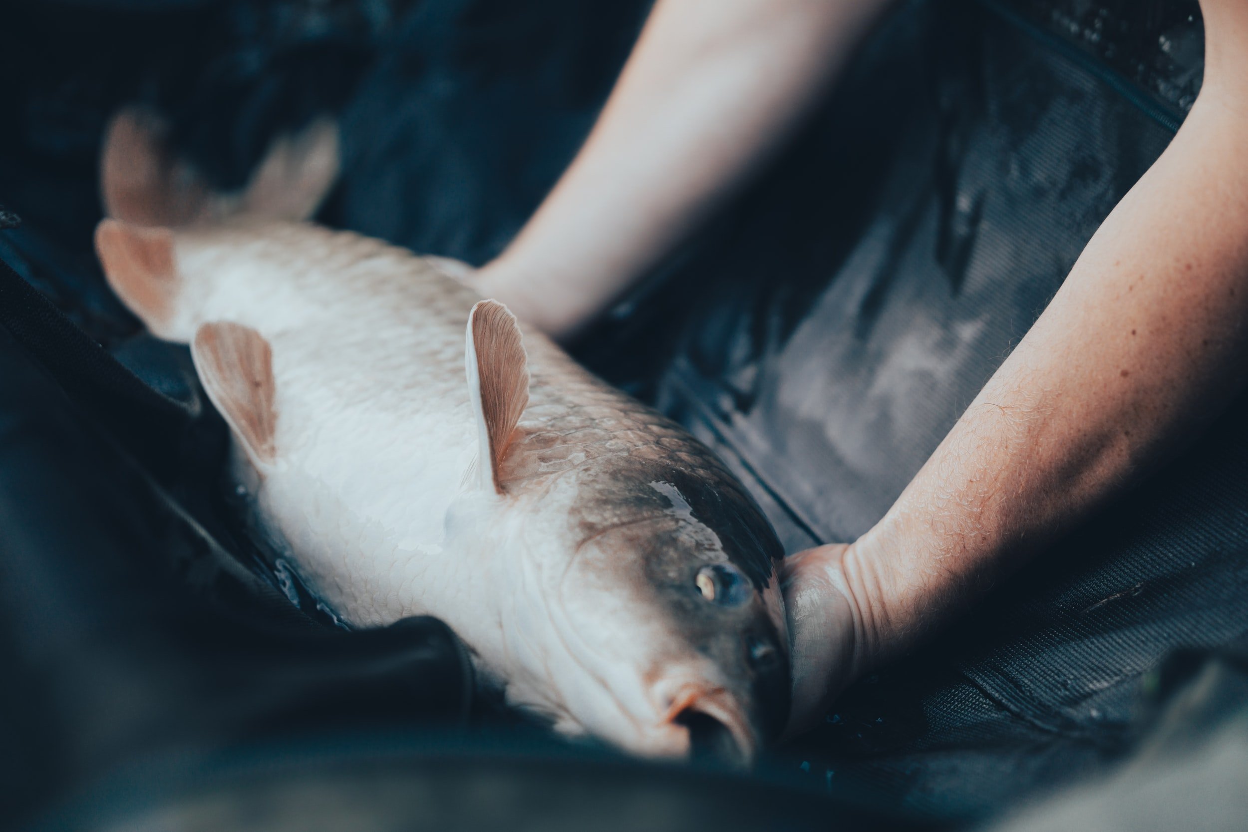 unsplash-image-ERxo7bKEJSs.jpg