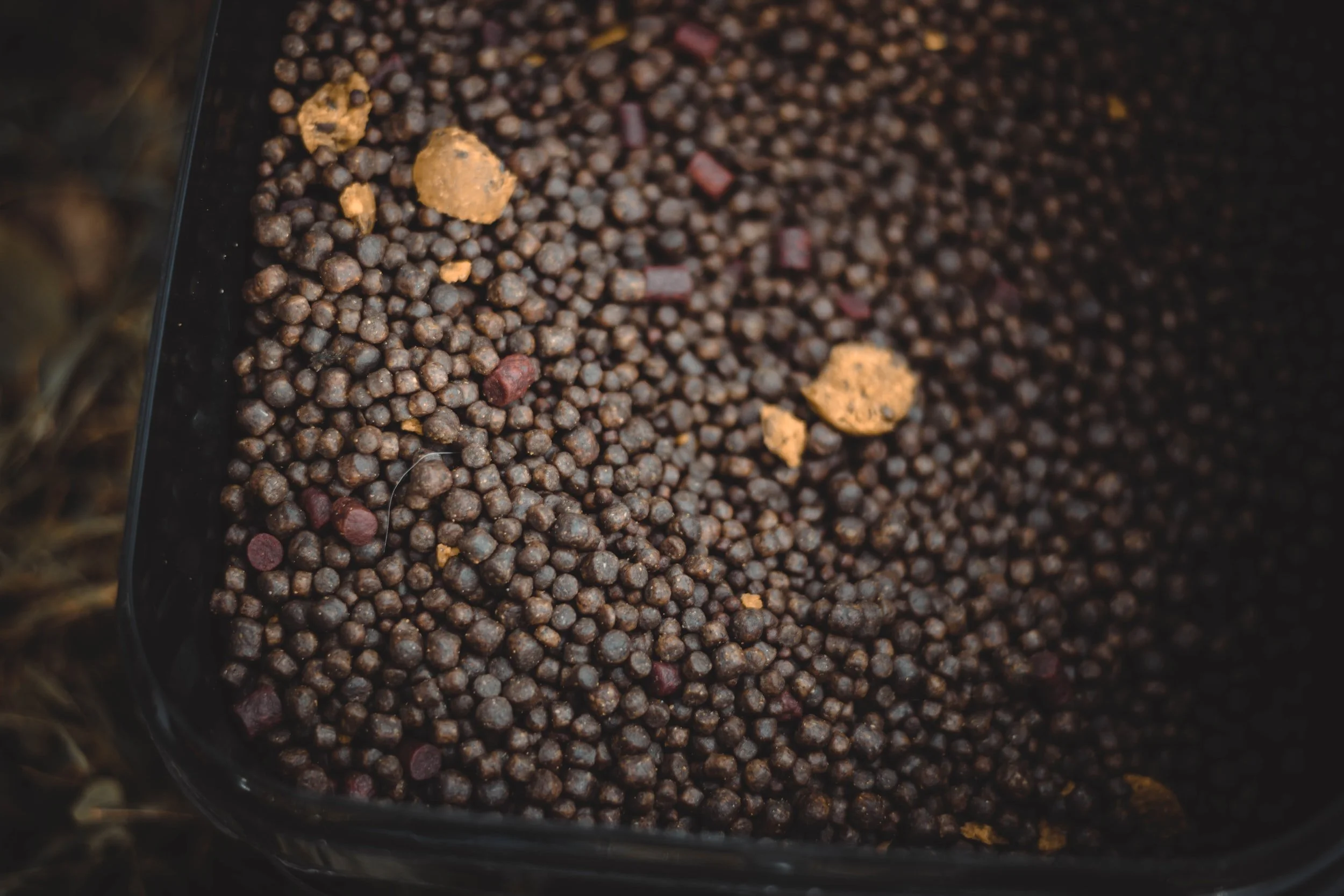unsplash-image-S5d7PZQooW0.jpg