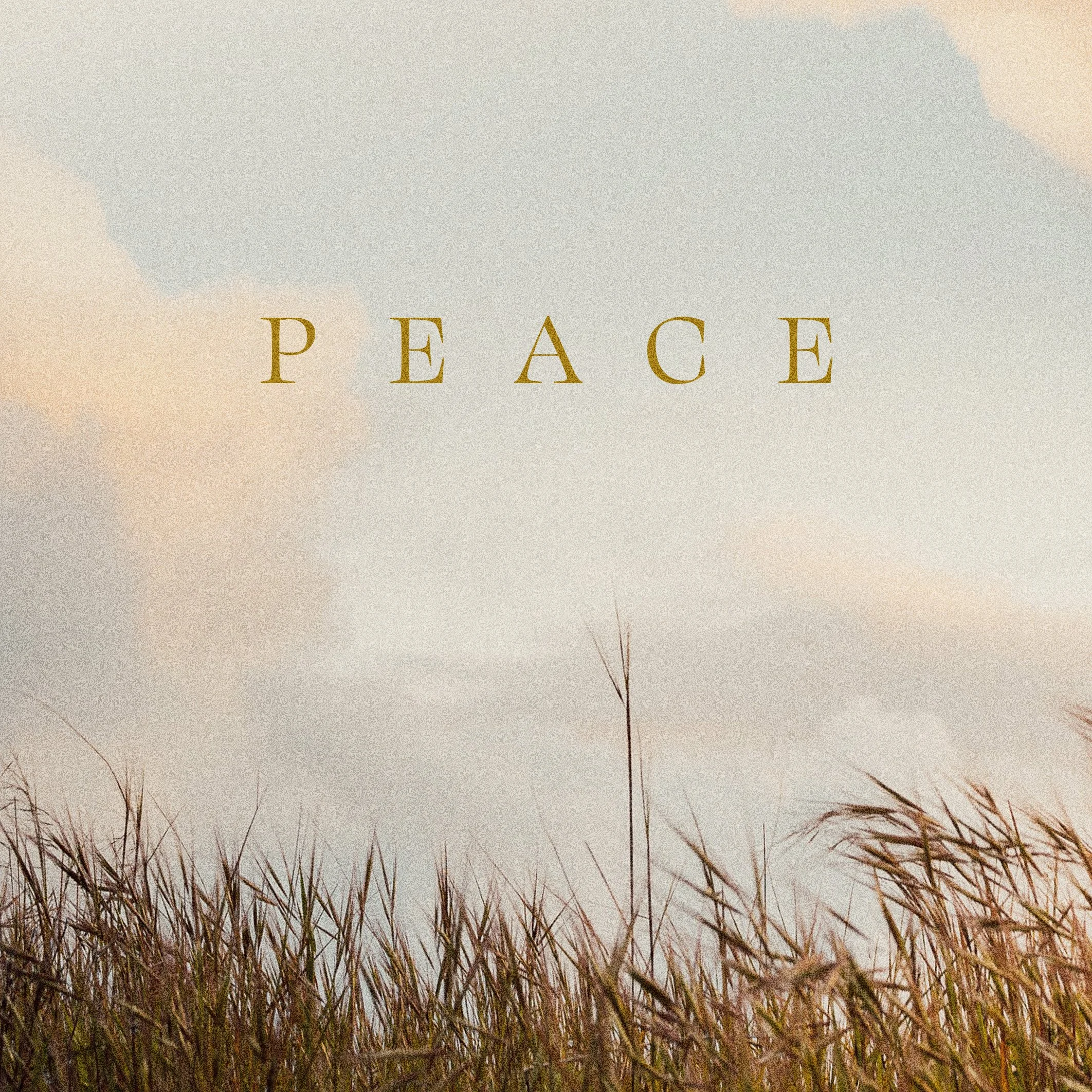 Terror Turned To Tranquility