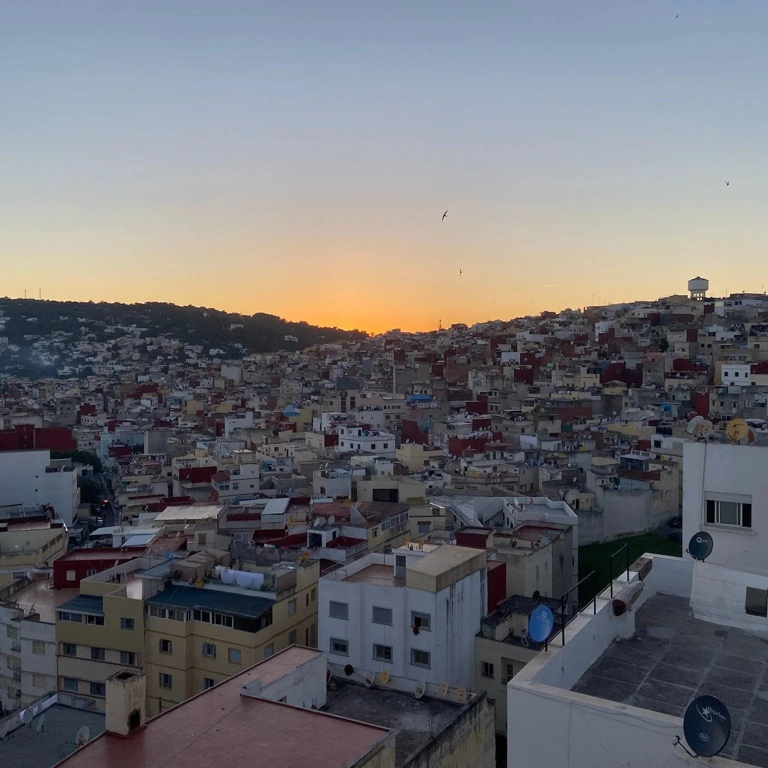 Lauren-Join the journey