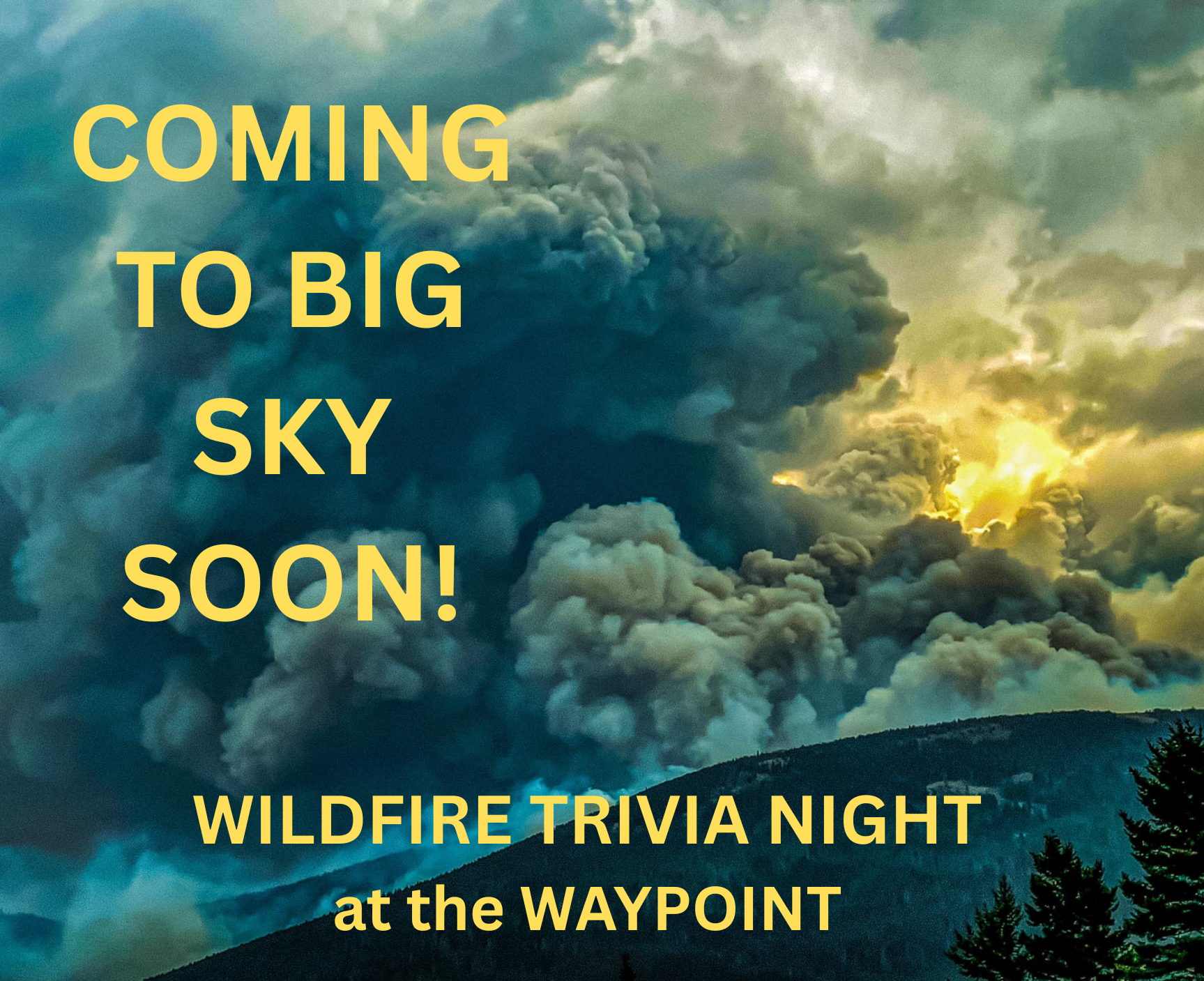 WILDFIRE TRIVIA NIGHT