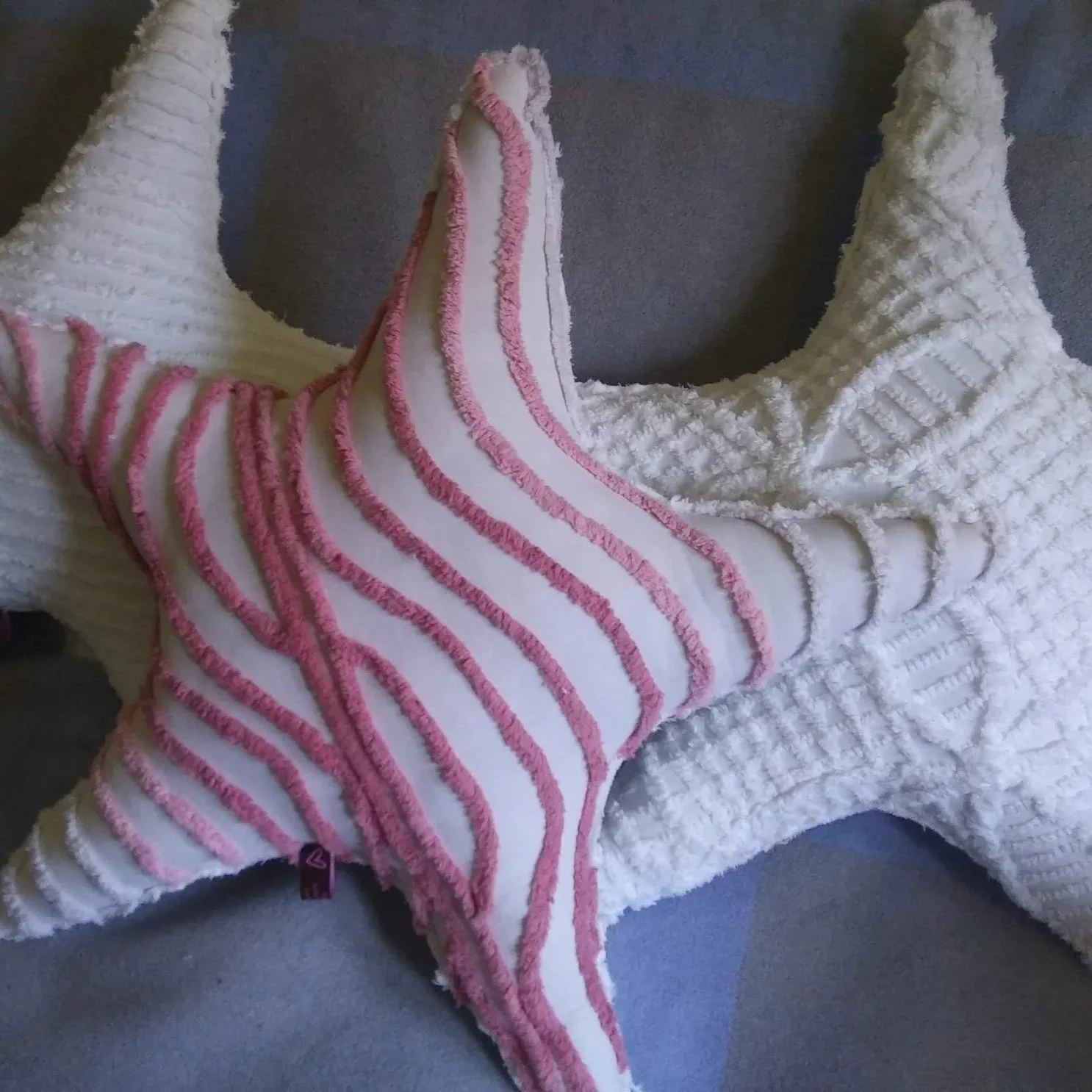 3starfish.jpg