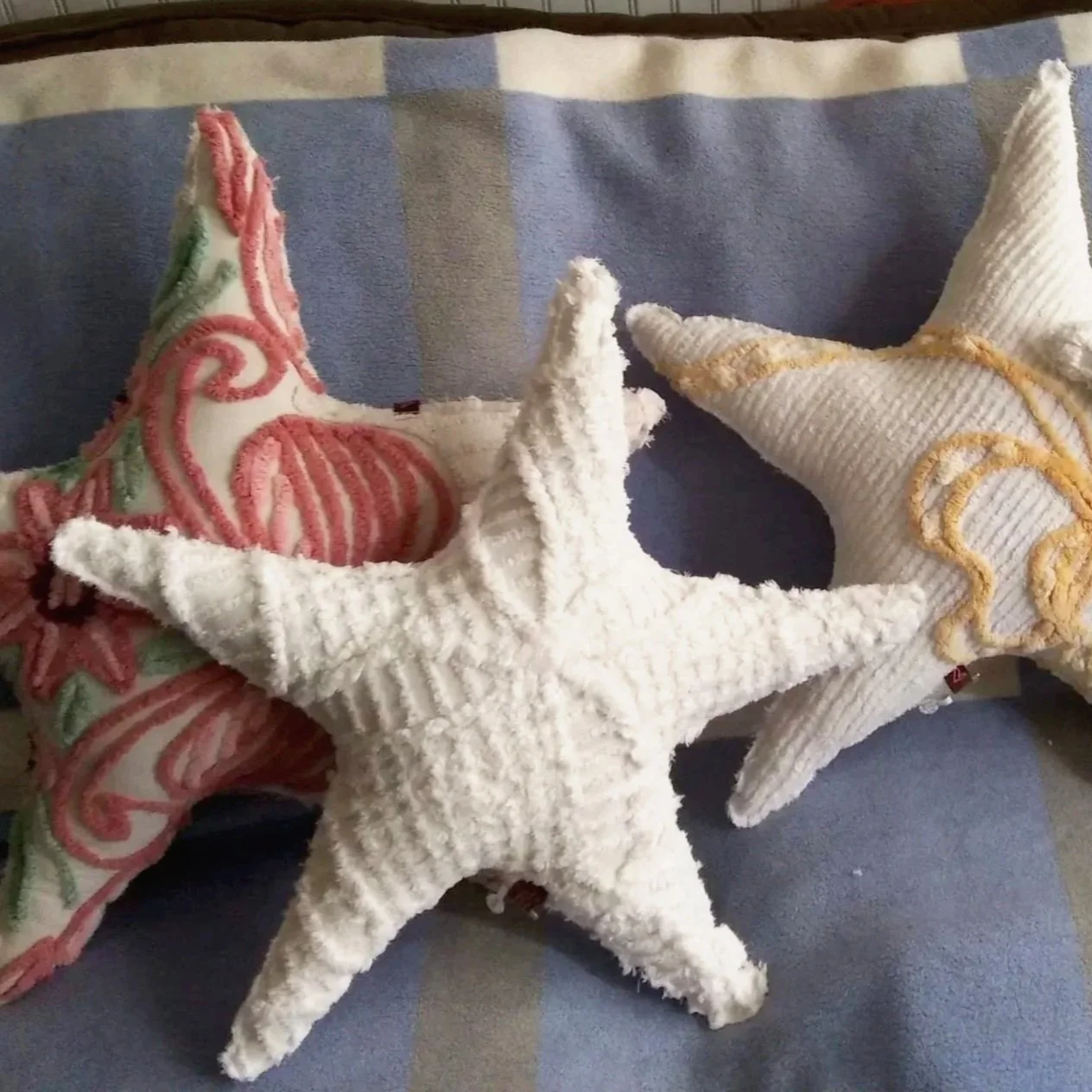 starfish7.jpg