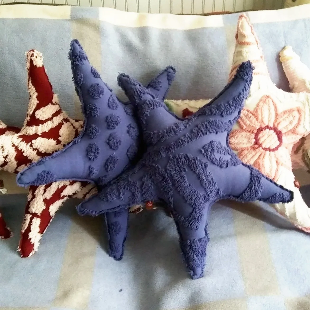 starfish6.jpg