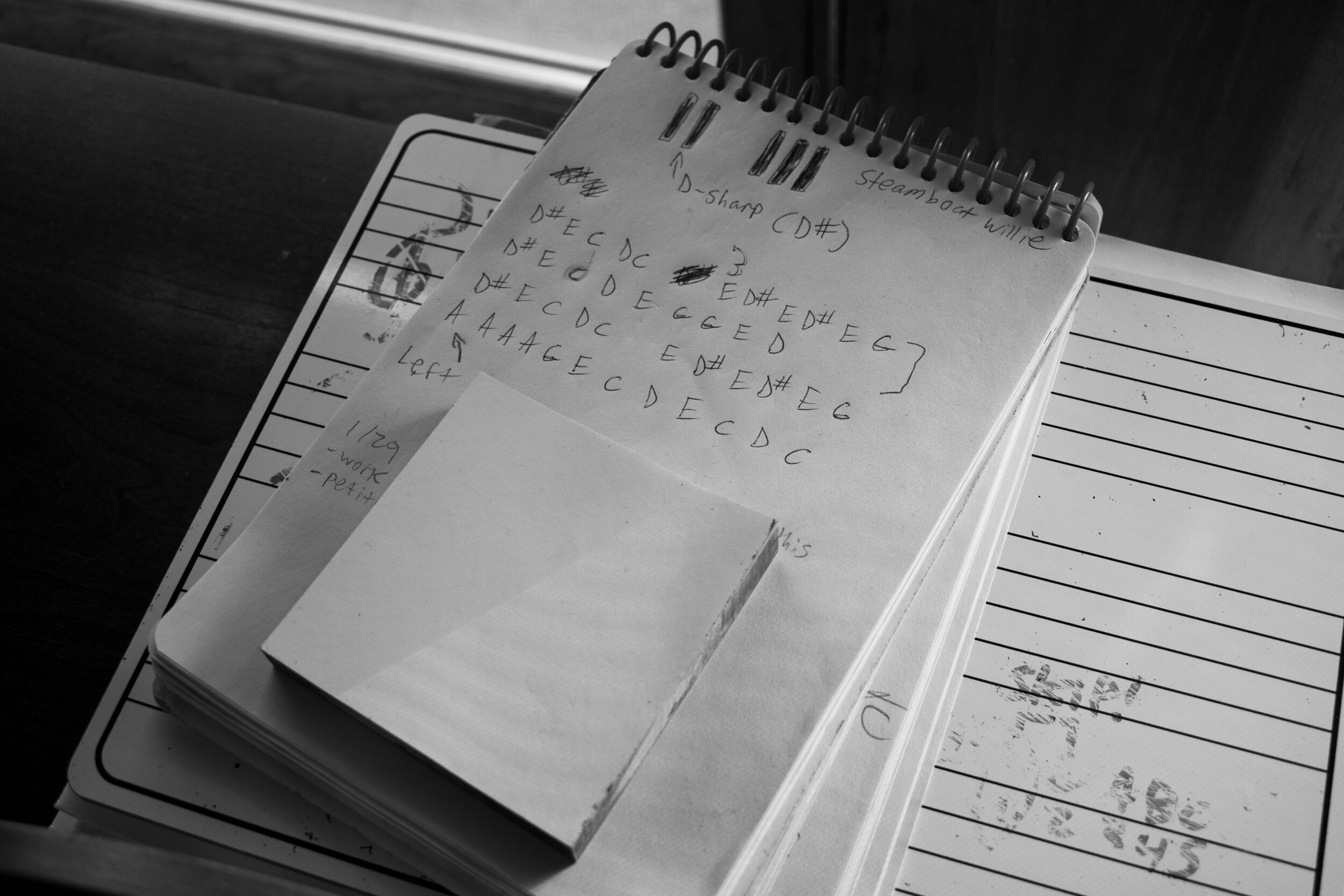 DSC_0541 copy.jpg