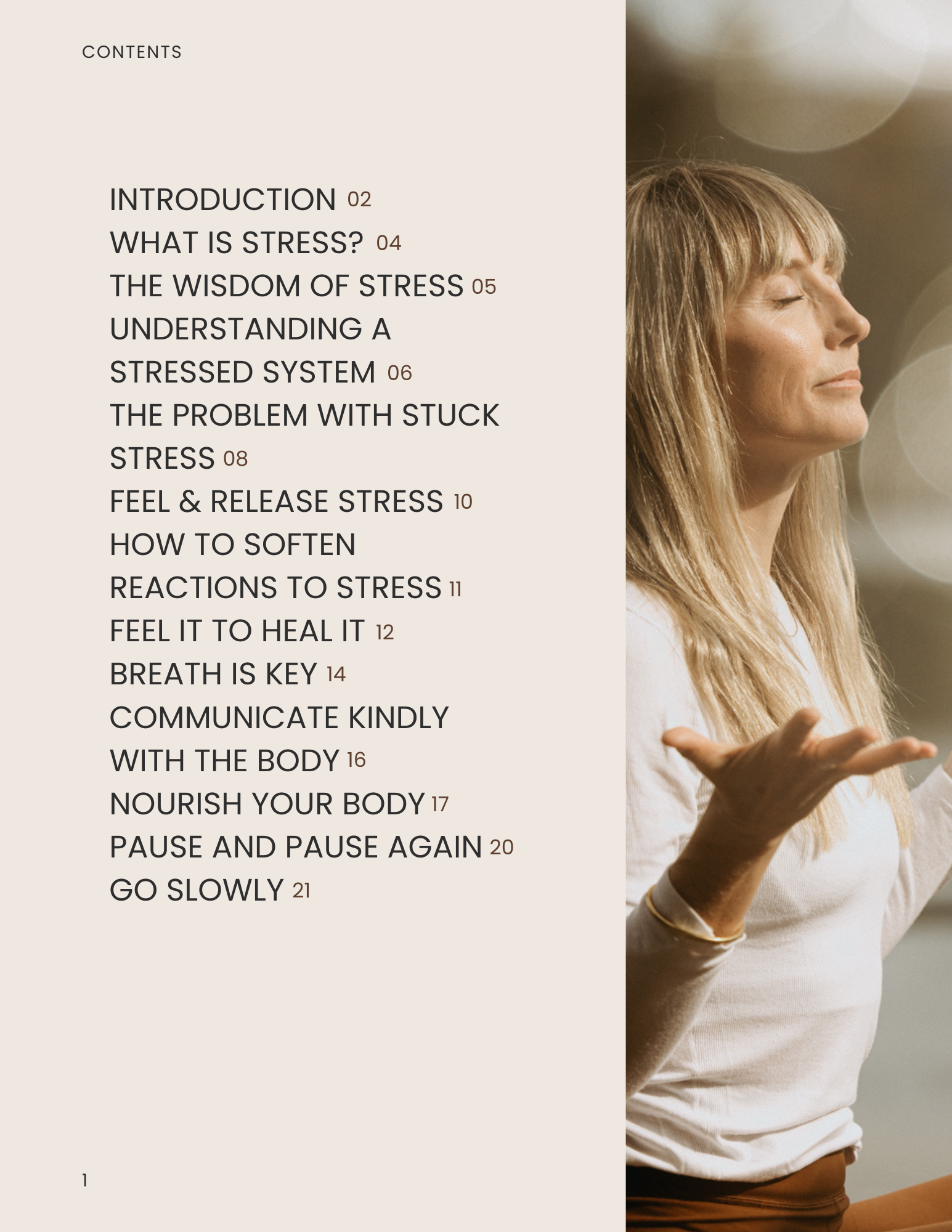 The Stress Shift A Workbook for Nervous System Health Table of Contents.png