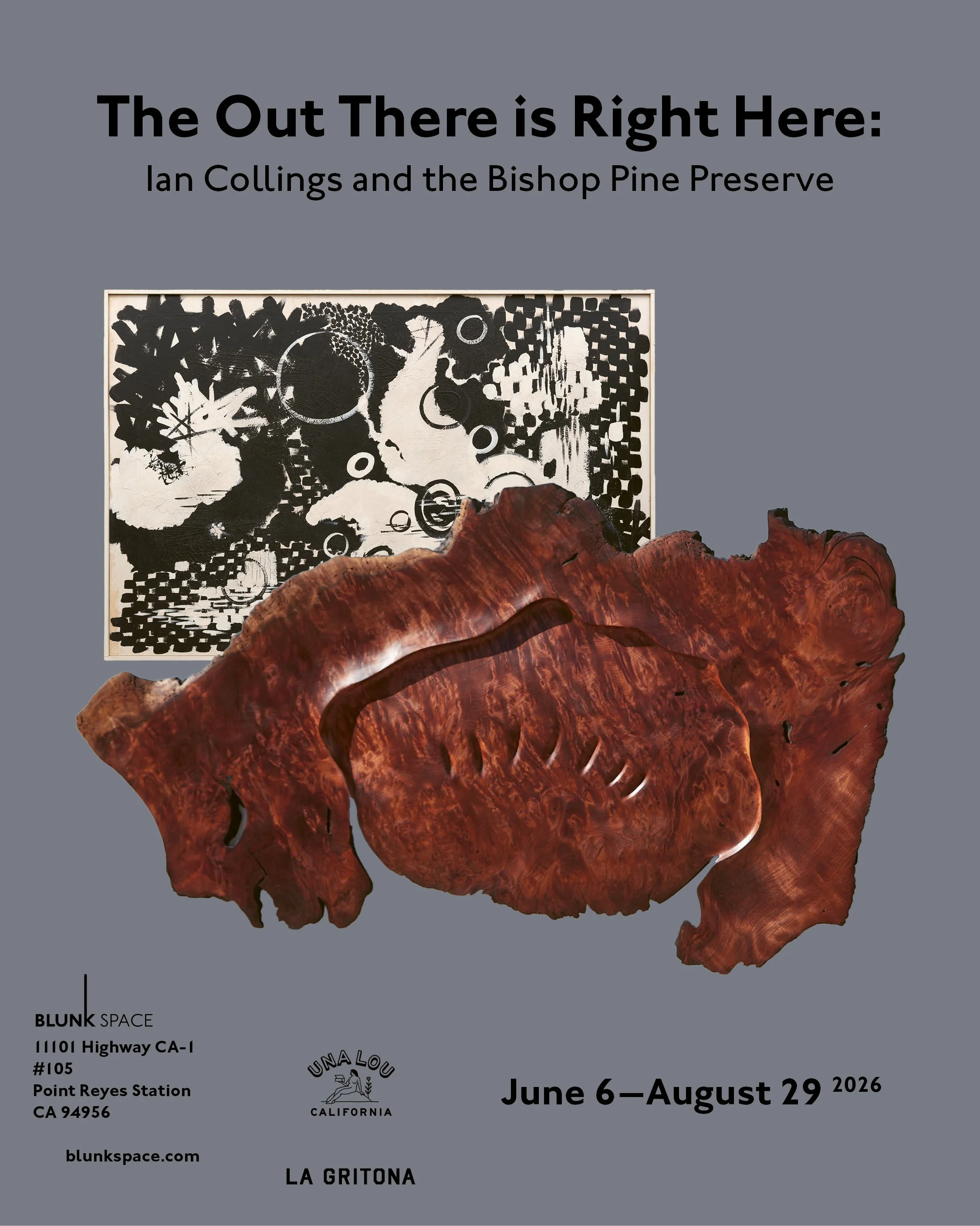 «The Out There is Right Here: 
Ian Collings and the Bishop Pine Preserve» Blunkspace