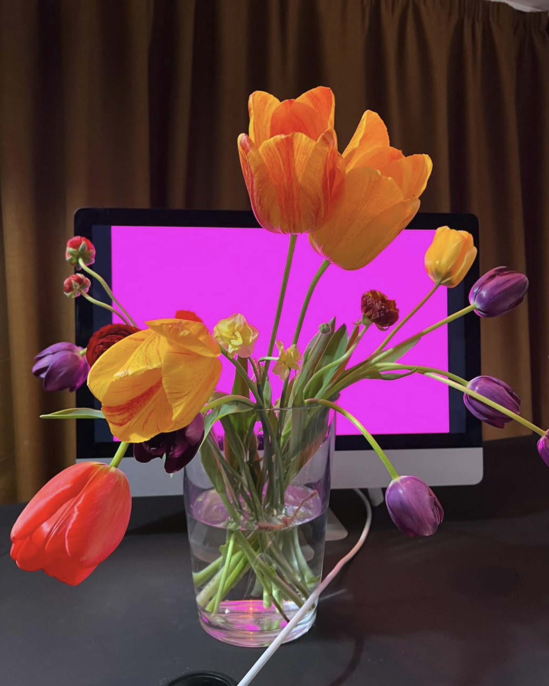 «Studio life: Magenta» 