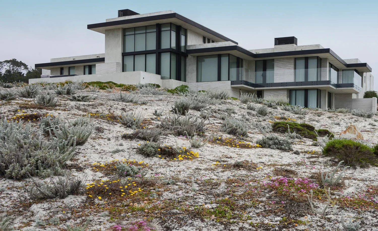 pebble-beach-dune-restoration-2-monterey-cypress-jessica-dune-landscape-architecture.jpg
