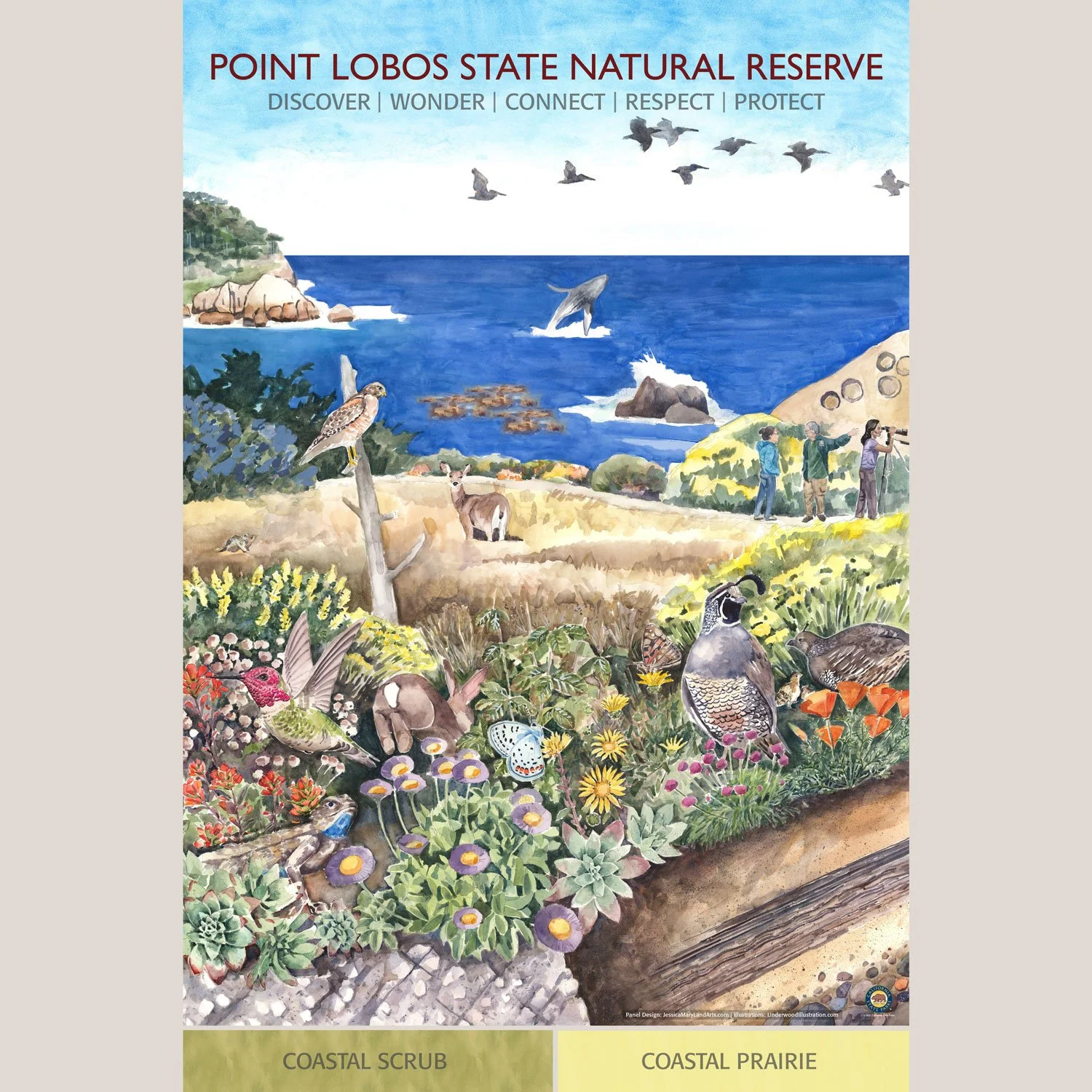 point-lobos-habitat-coastal-scrub-interpretive-panel-jessica-dune-landscape-architecture.jpg