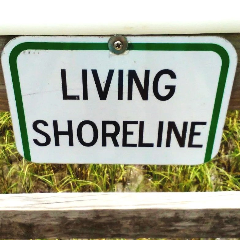 From Local to Global: Coastal Restoration and Resilience, with speaker Dr. Rene W. Brown 