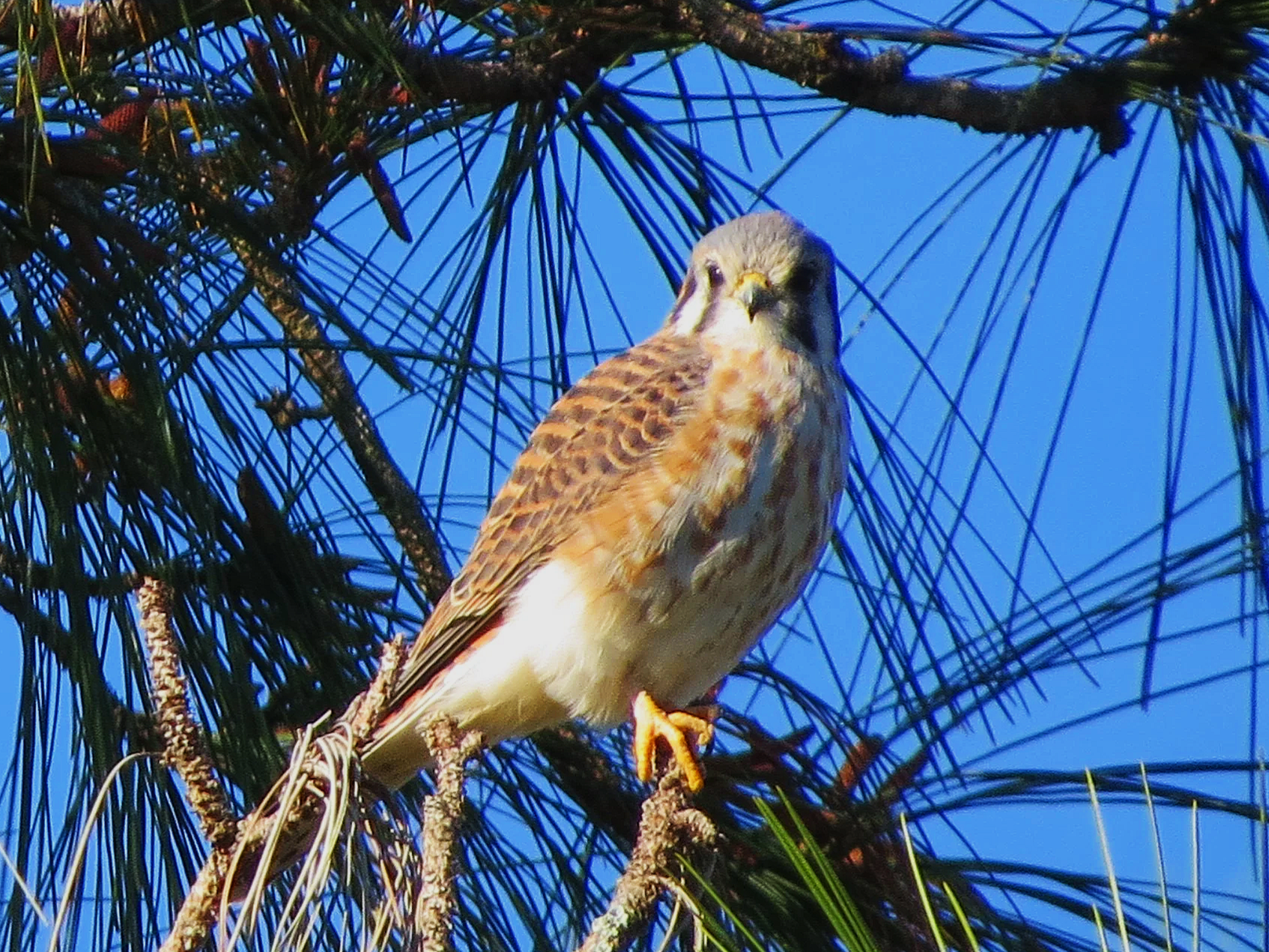Perry Oldenburg Wildlife and Environmental Area